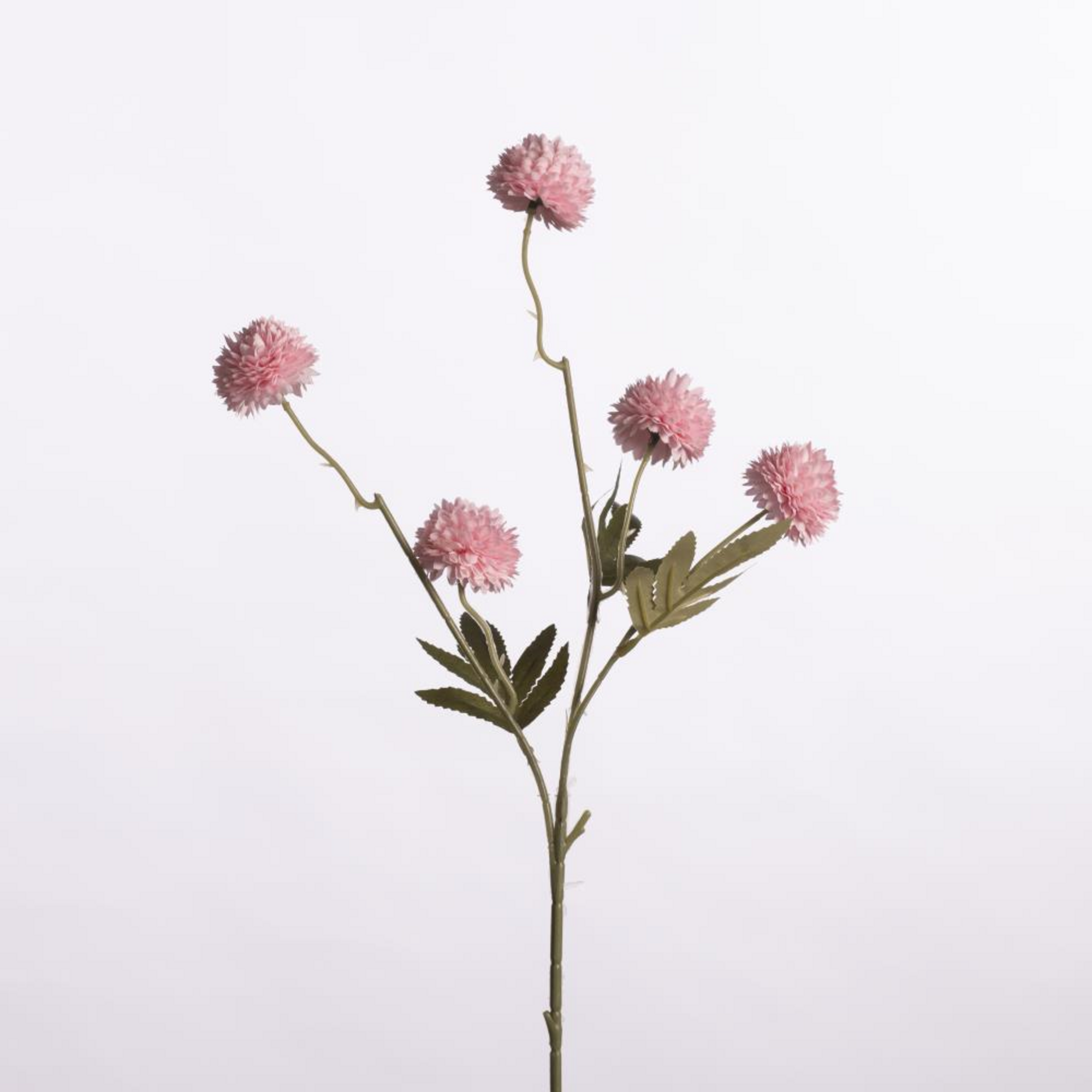 Gompy spray x5 pink