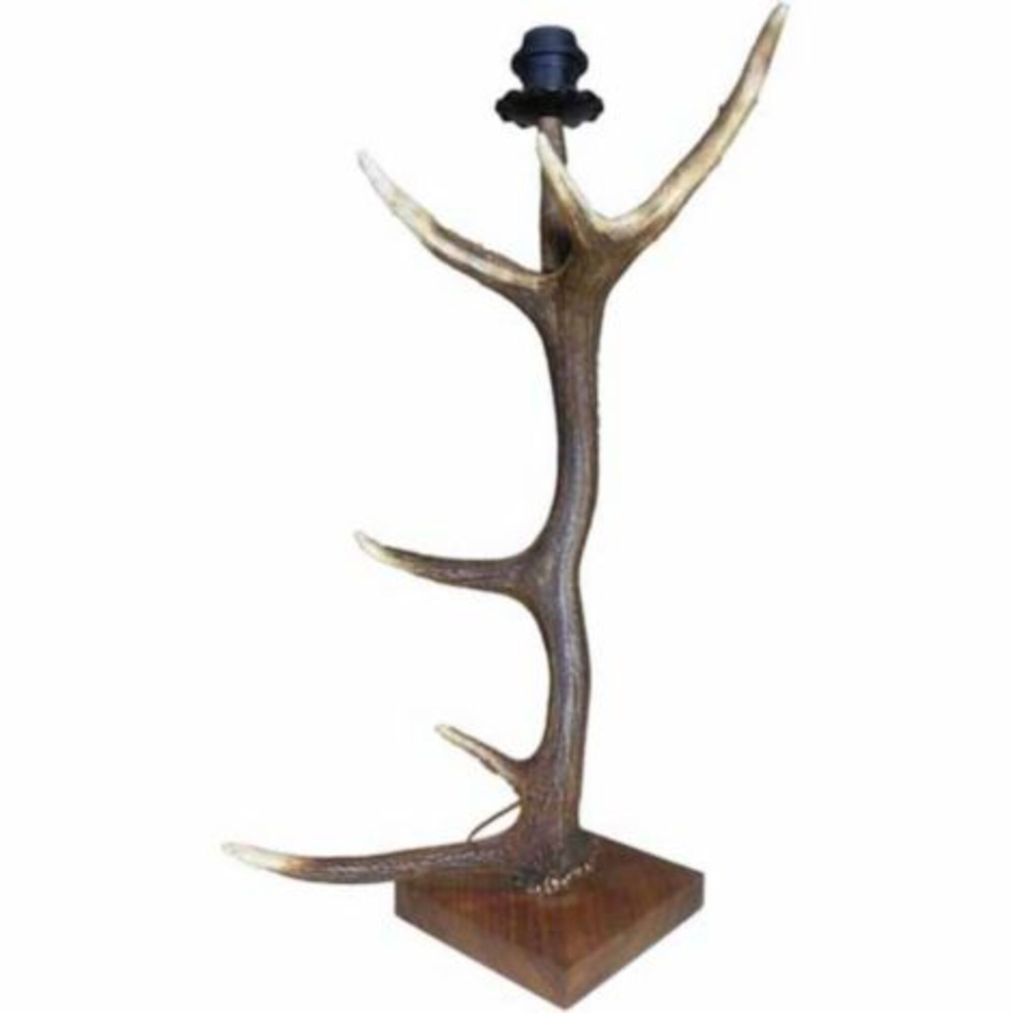 lampvoet edelhert
