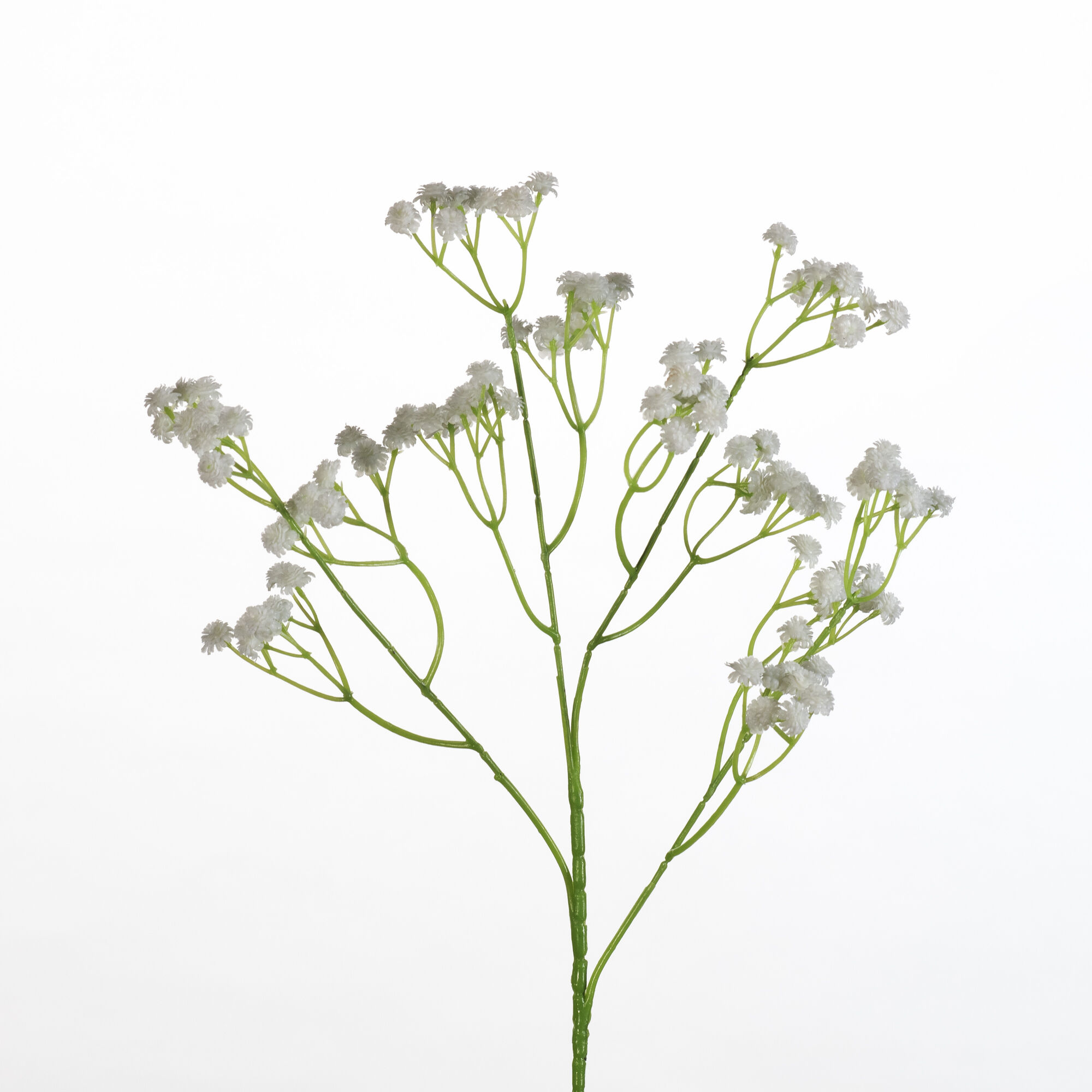 Gypsophila spray - white