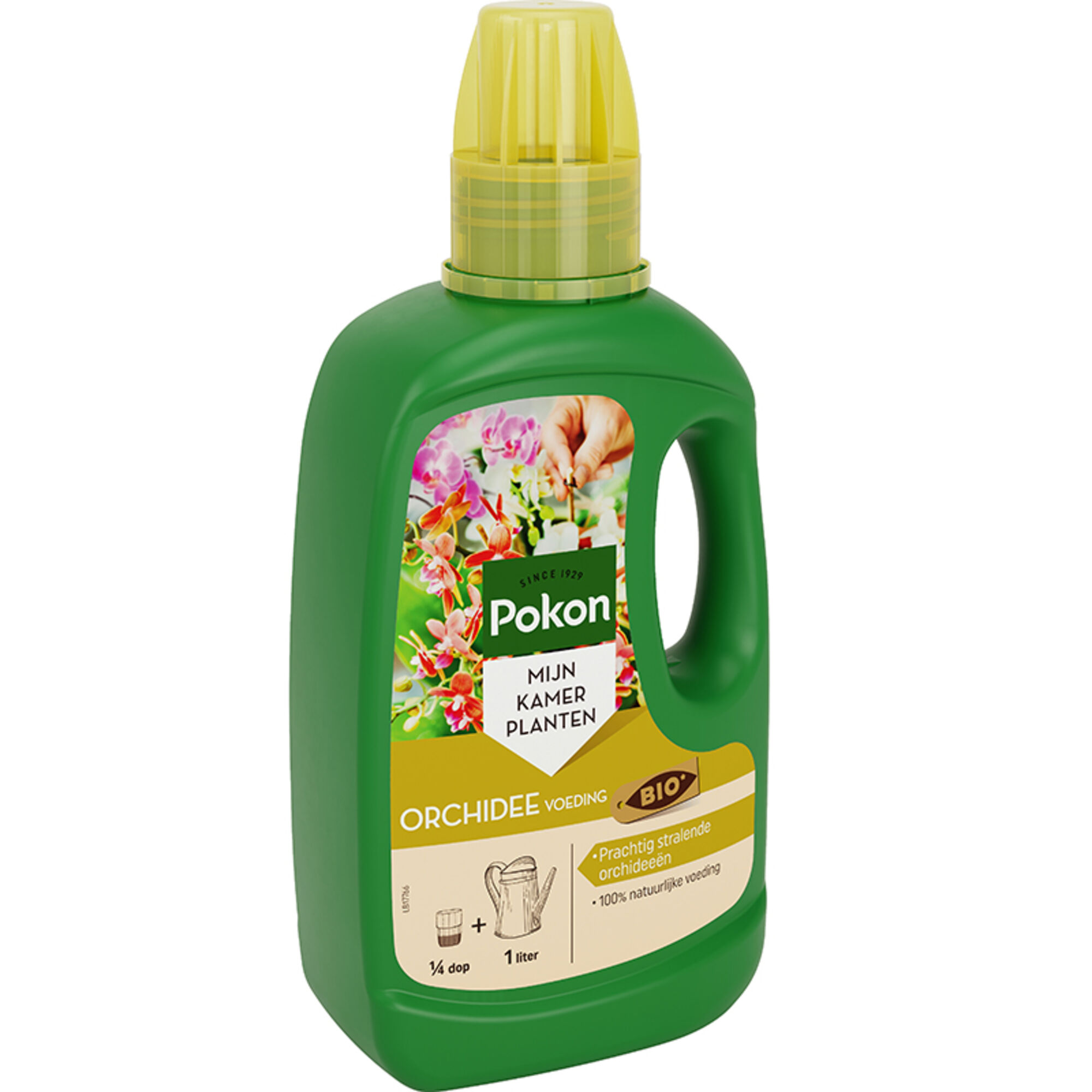 Pokon Bio Orchidee Voeding
