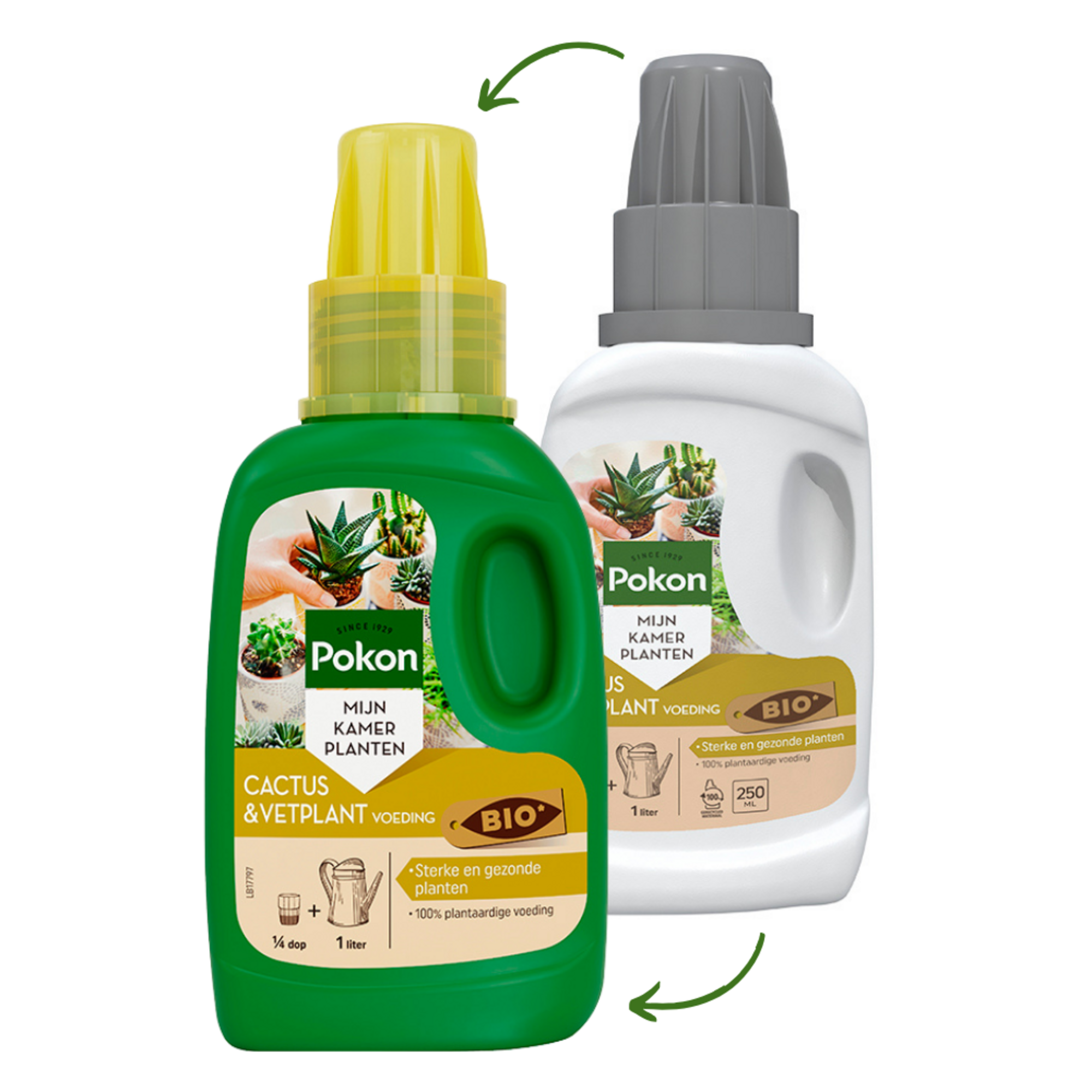Pokon Bio Cactus & Vetplant Voeding