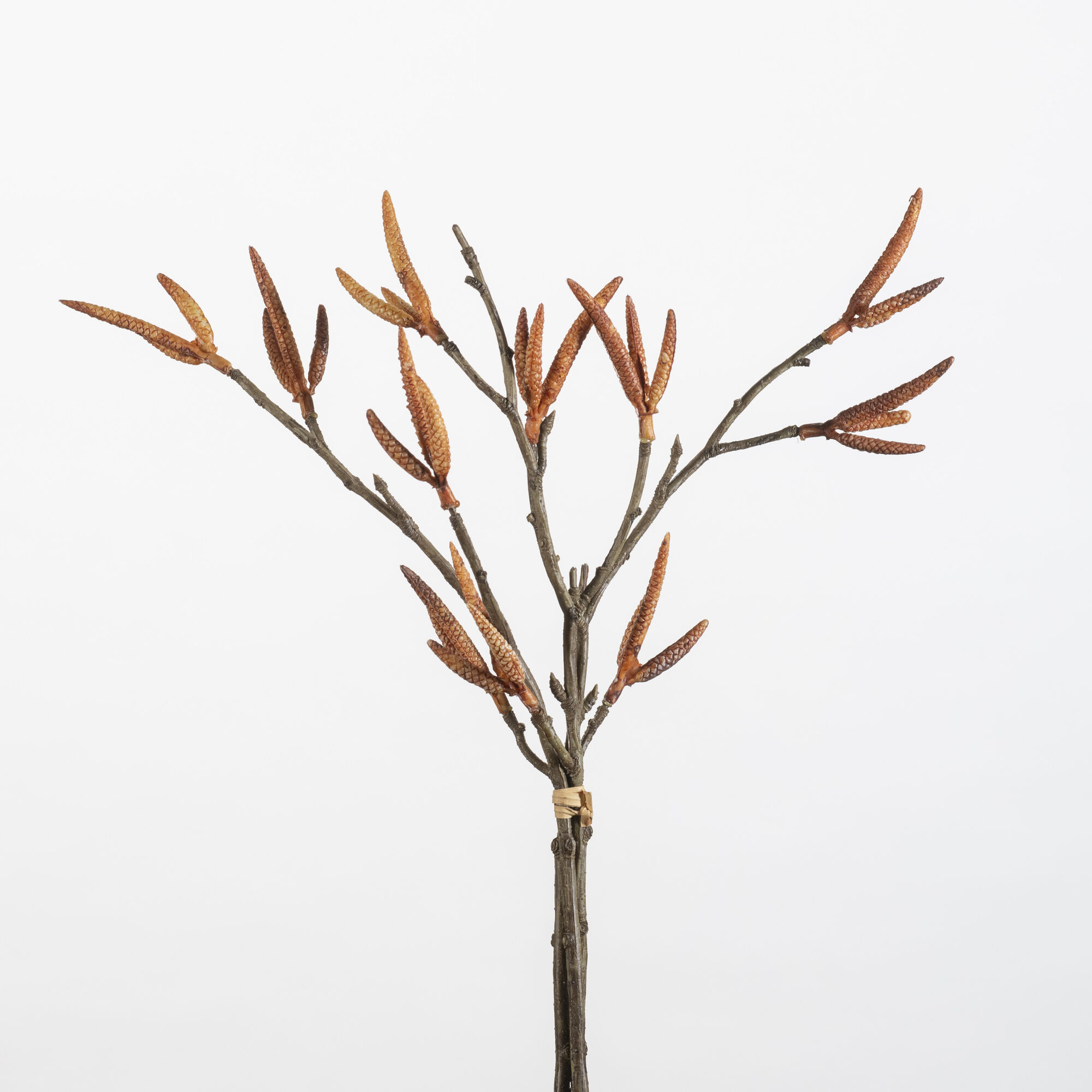 Alder Bundle 3pcs orange