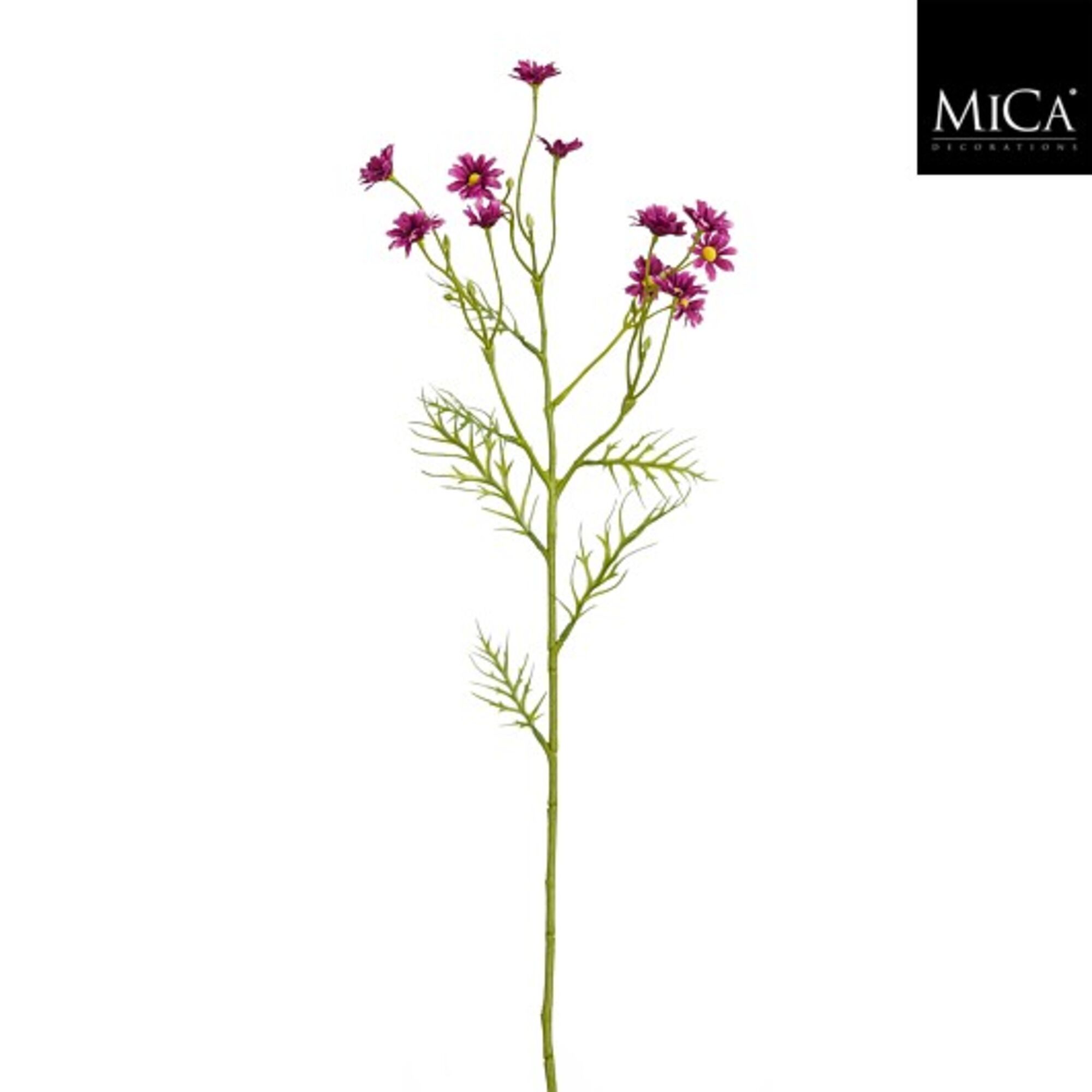 Margriet fuchsia