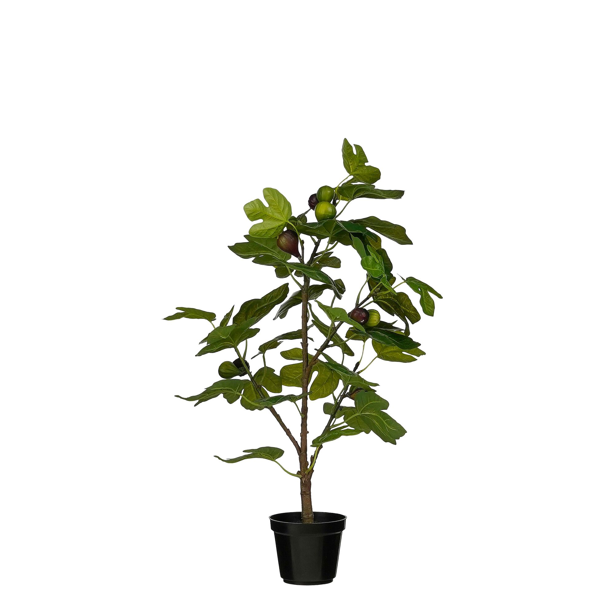 Vijg in pot groen Real Touch