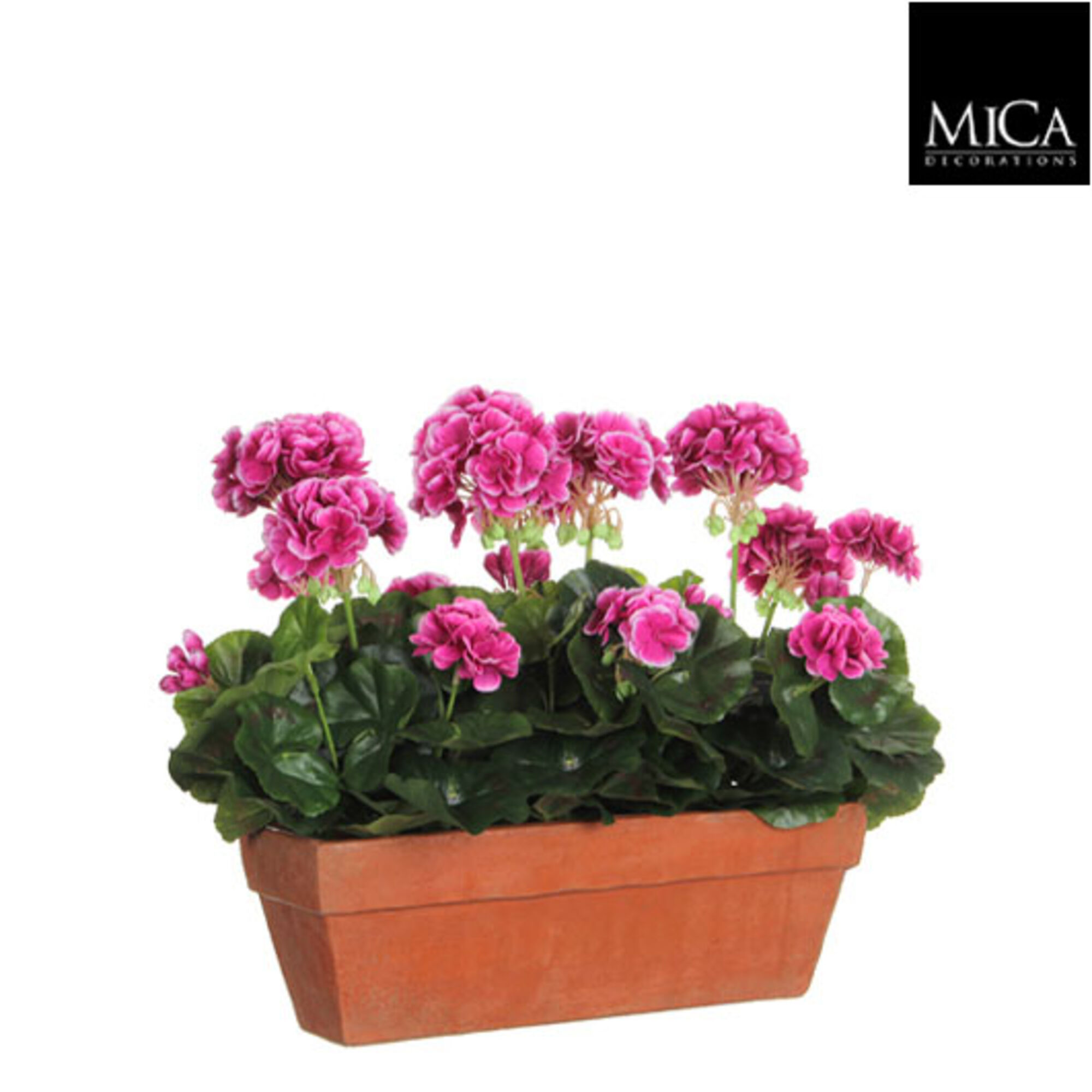 Geranium paars in balkonbak terra