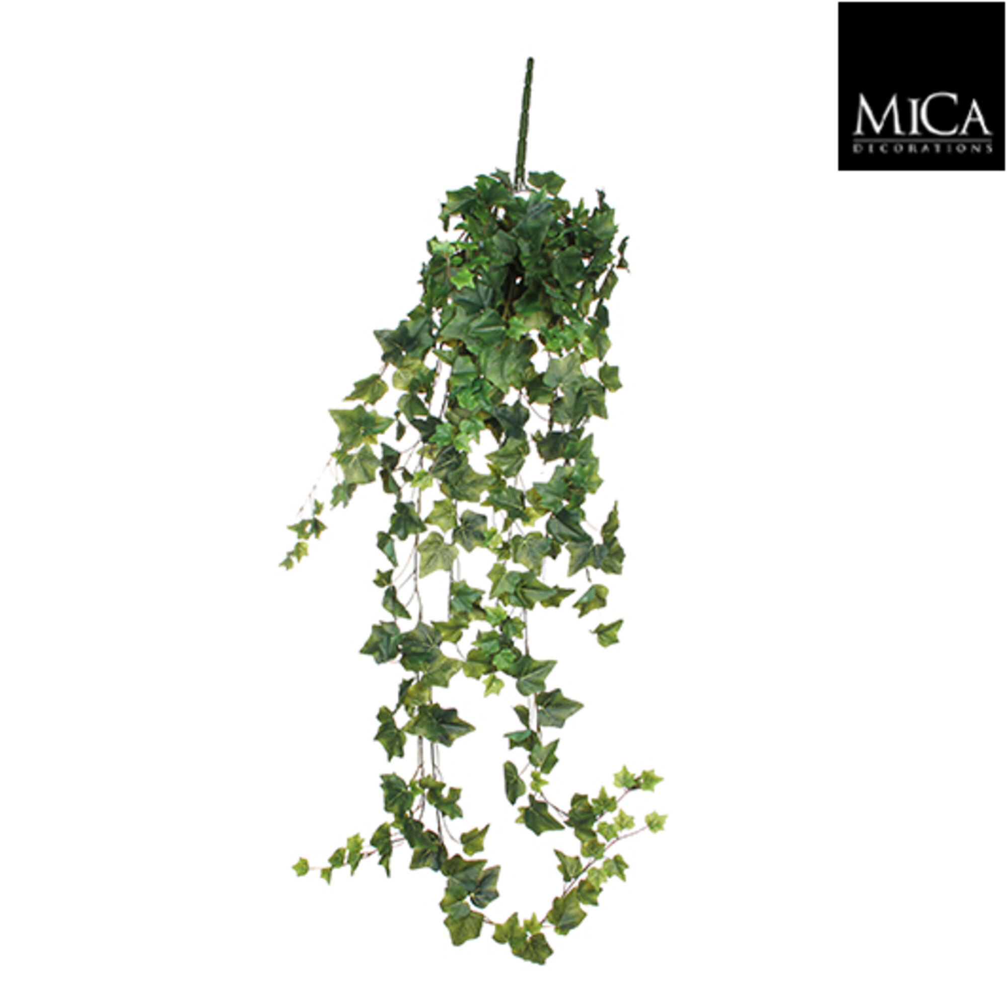 Hedera hangend groen