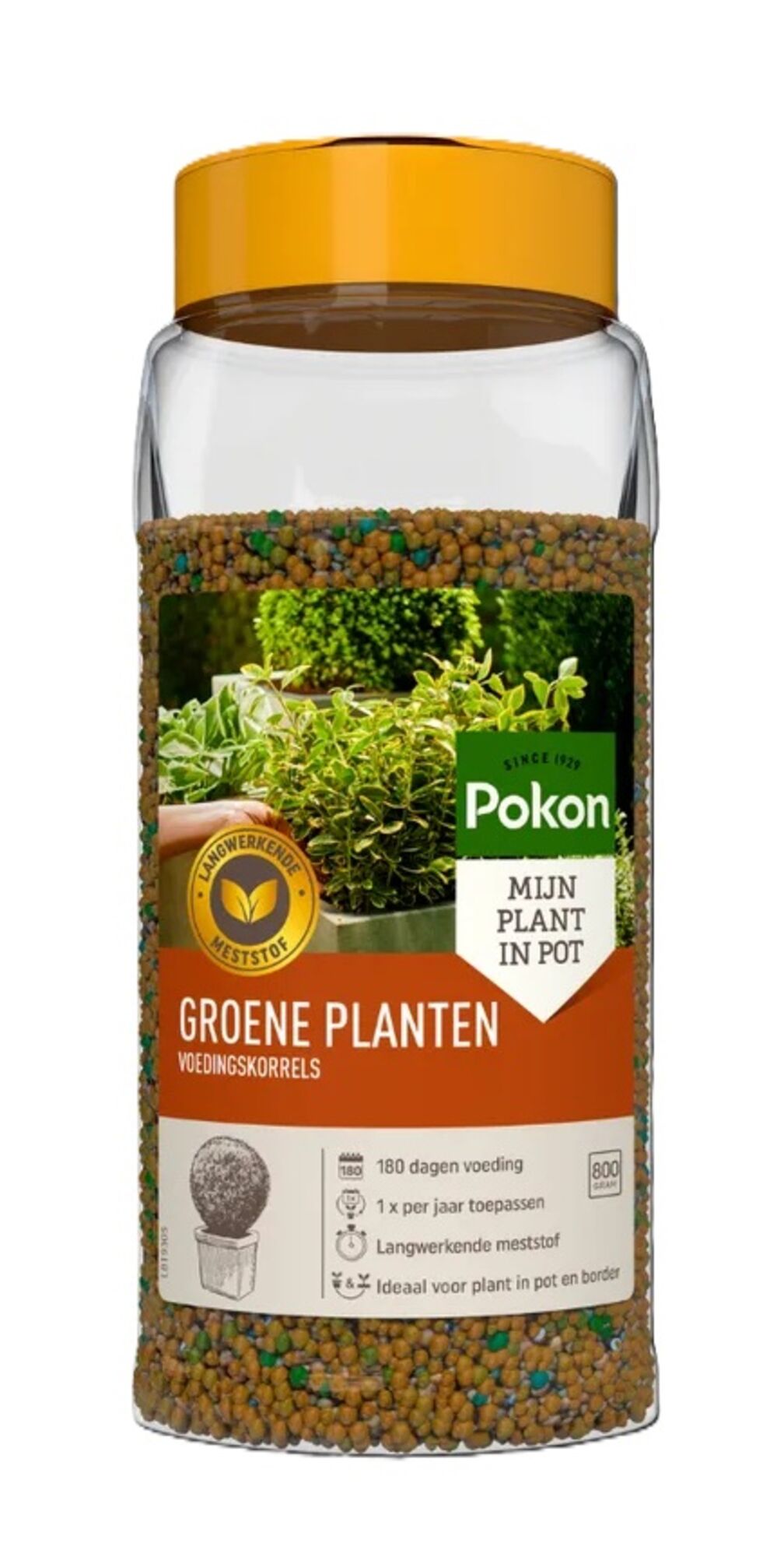 Pokon Groene Planten Voedingskorrels