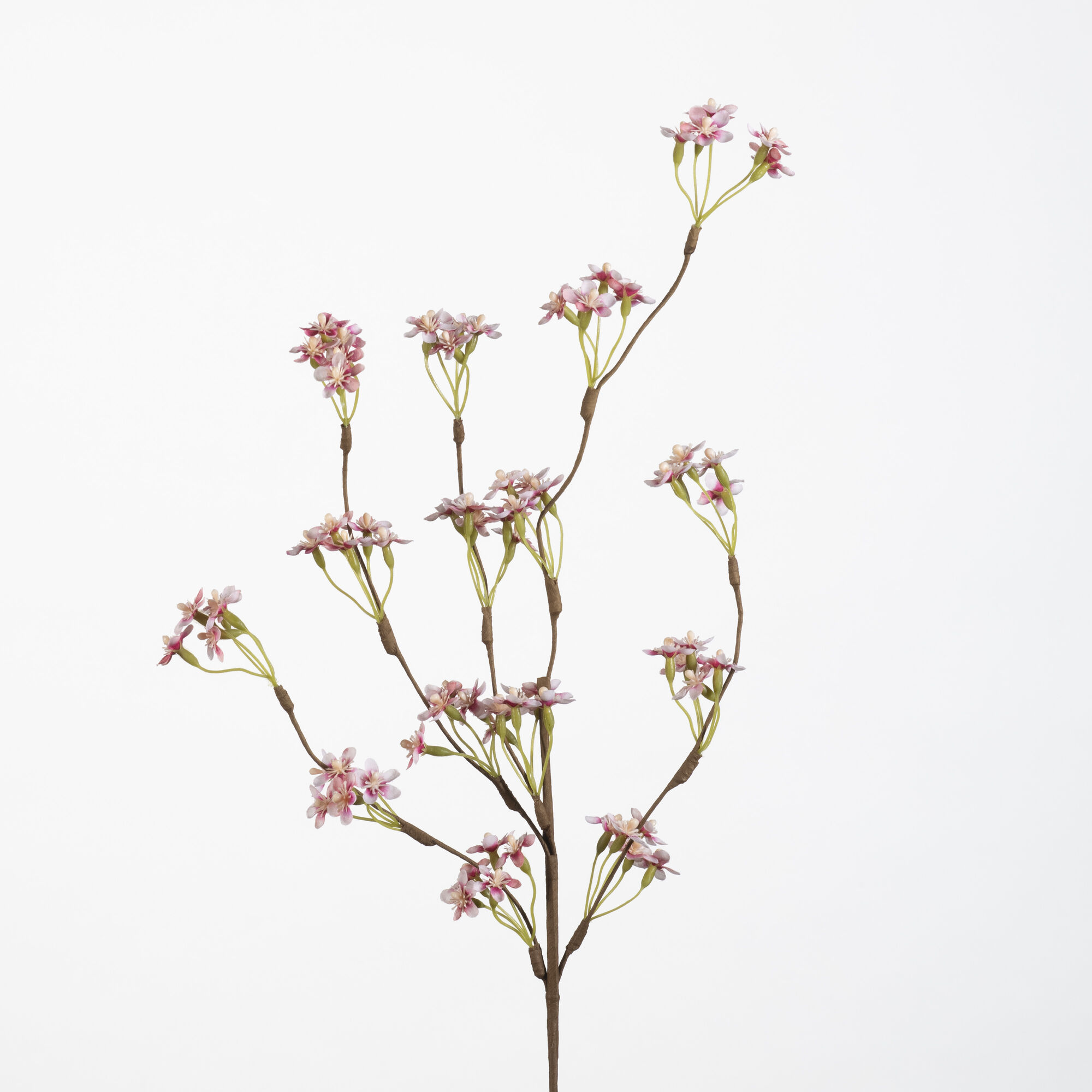 Viburnum spray - pink