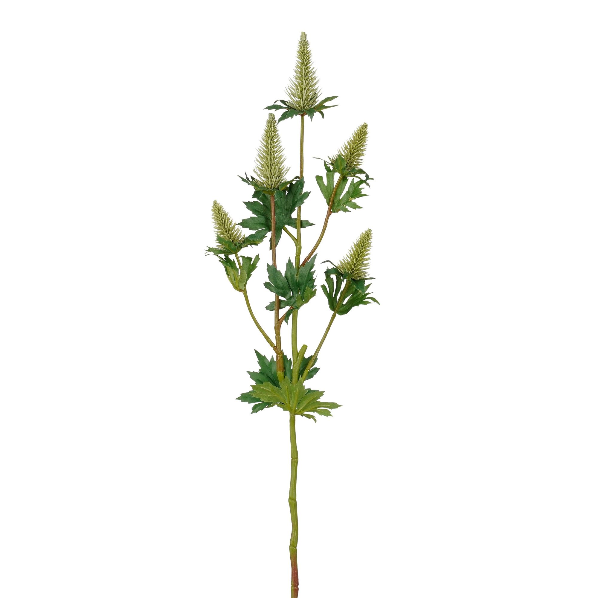 Distel groen