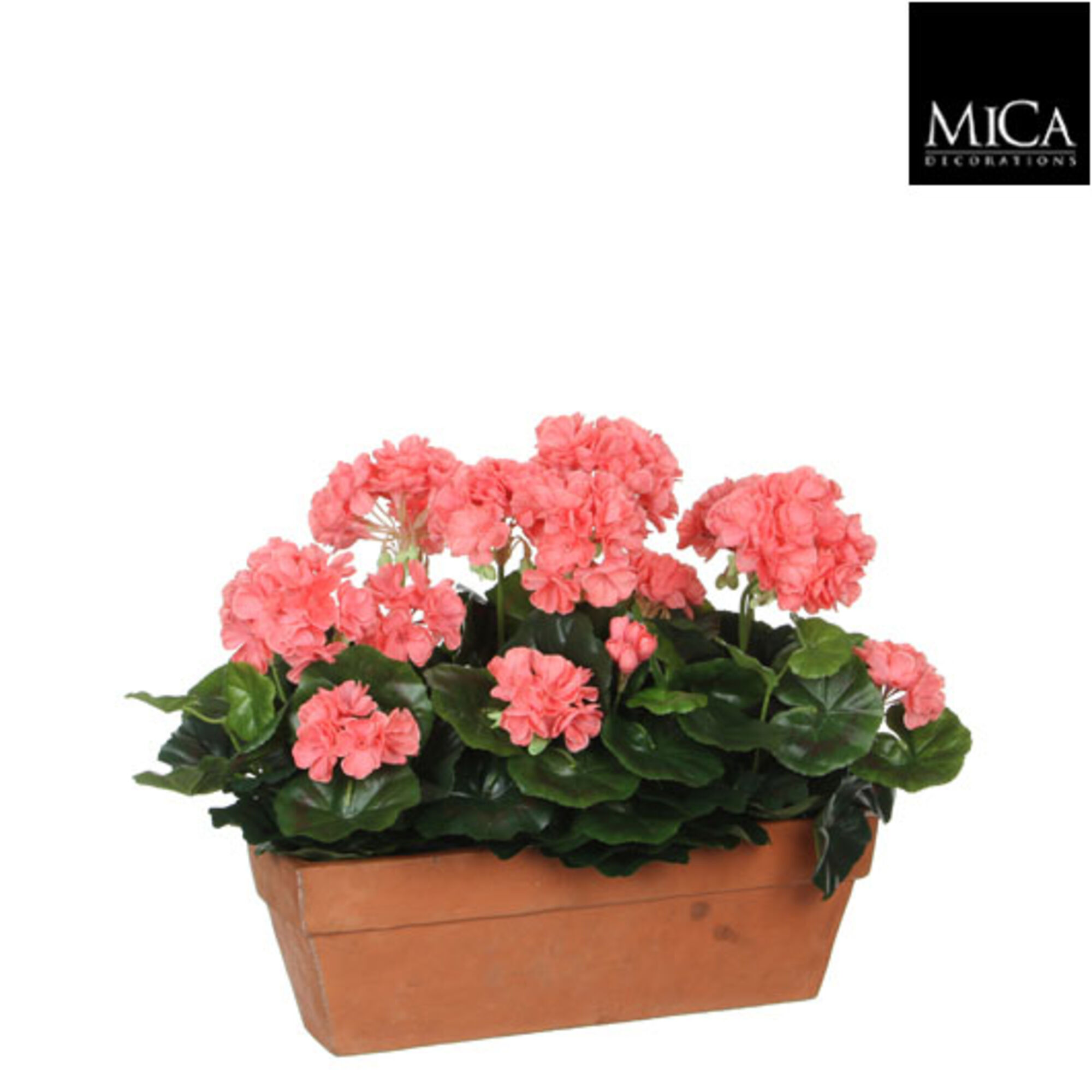 Geranium zalm in balkonbak terra