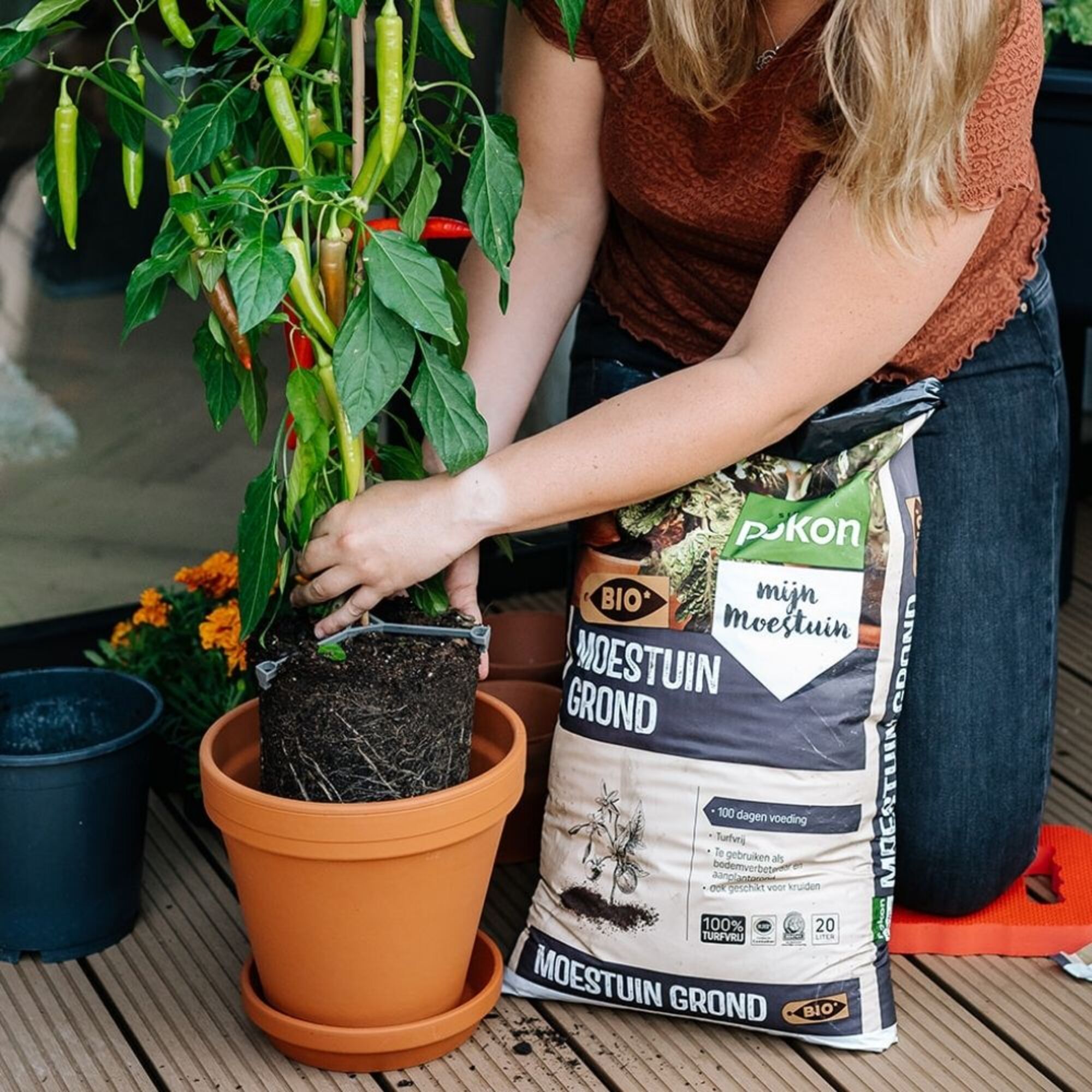 Pokon Bio Moestuin Grond