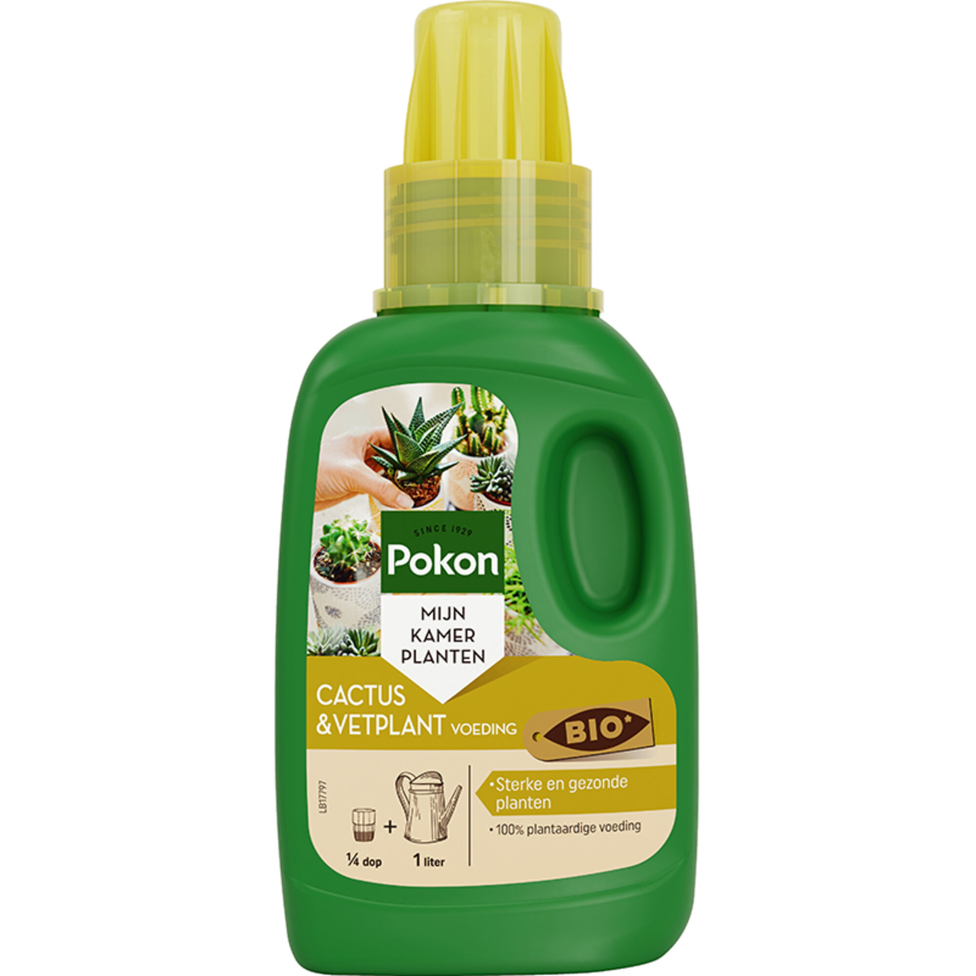 Pokon Bio Cactus & Vetplant Voeding
