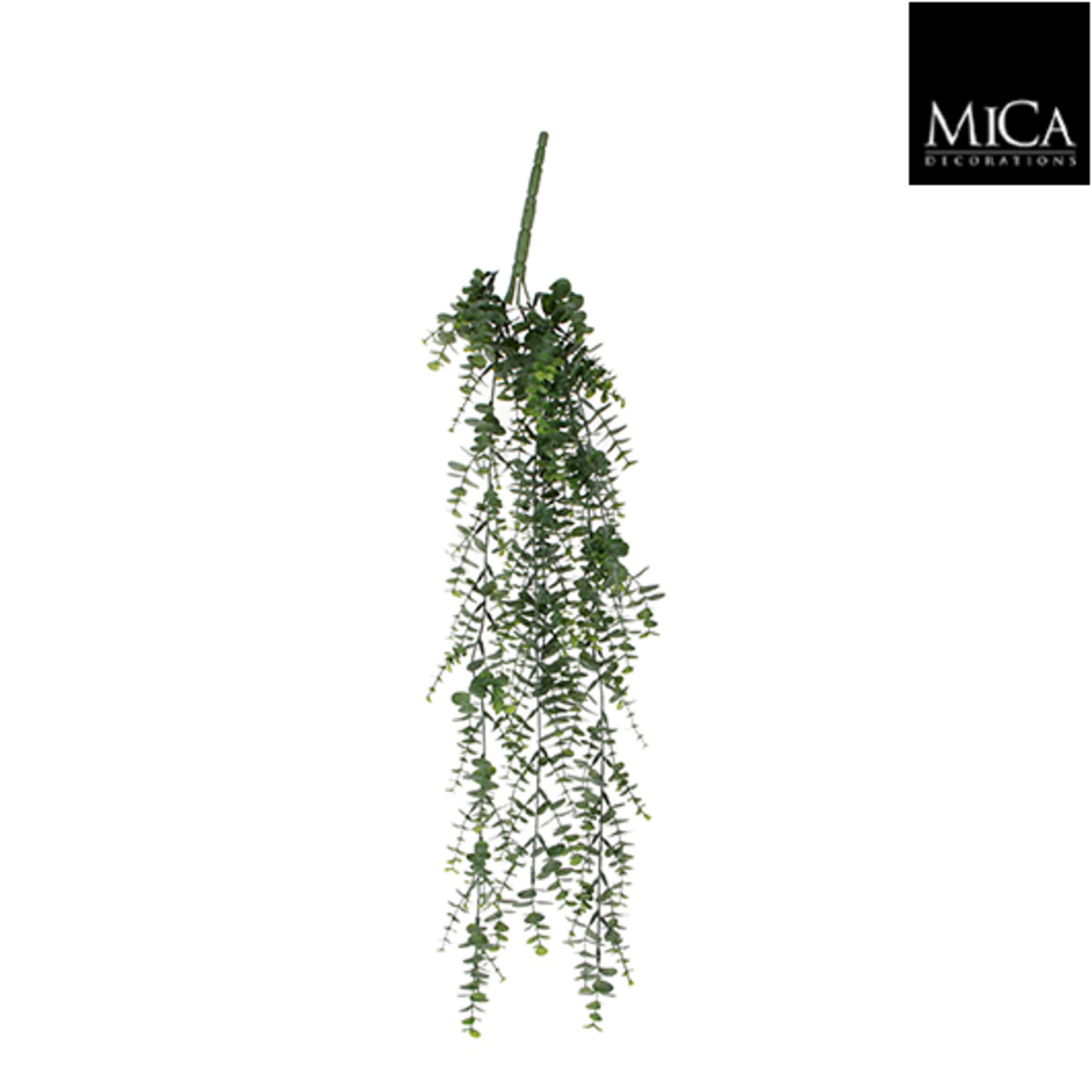 Eucalyptus hangend groen