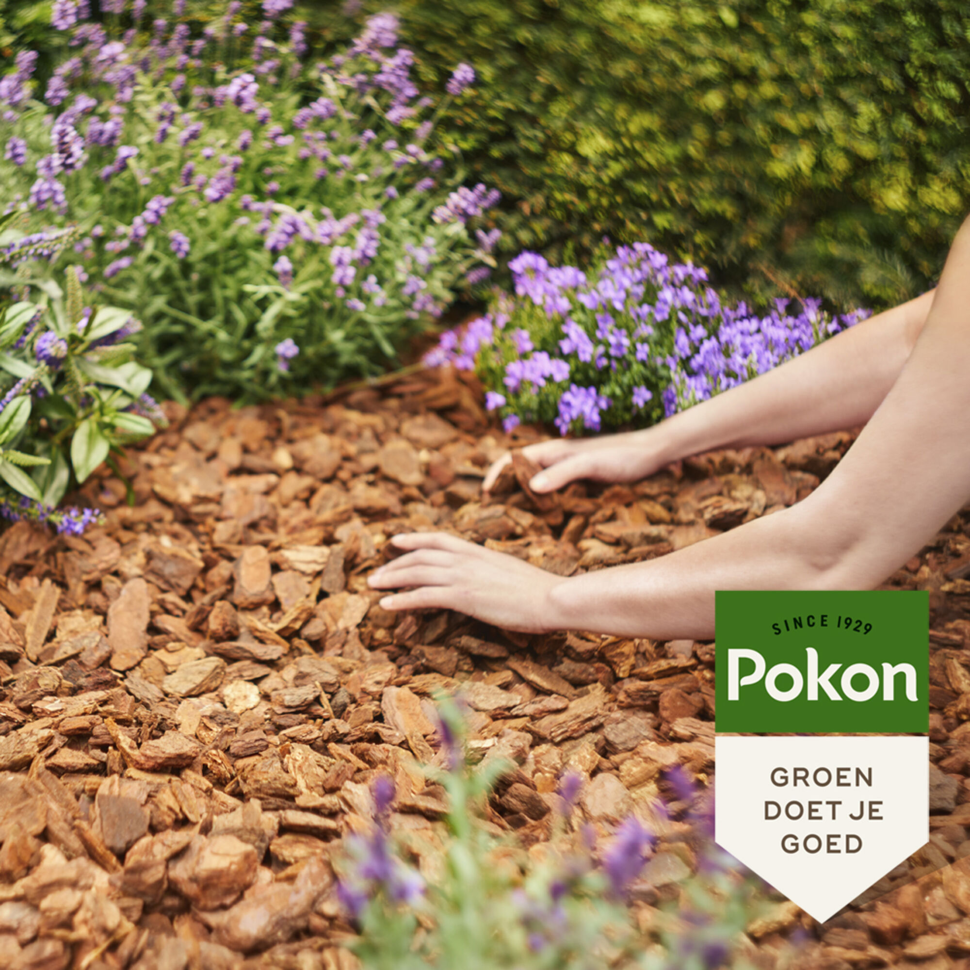 Pokon Boomschors Excellent