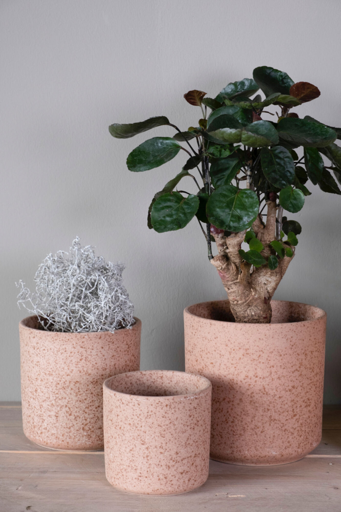Cylinder Bloempot Keramiek bruin