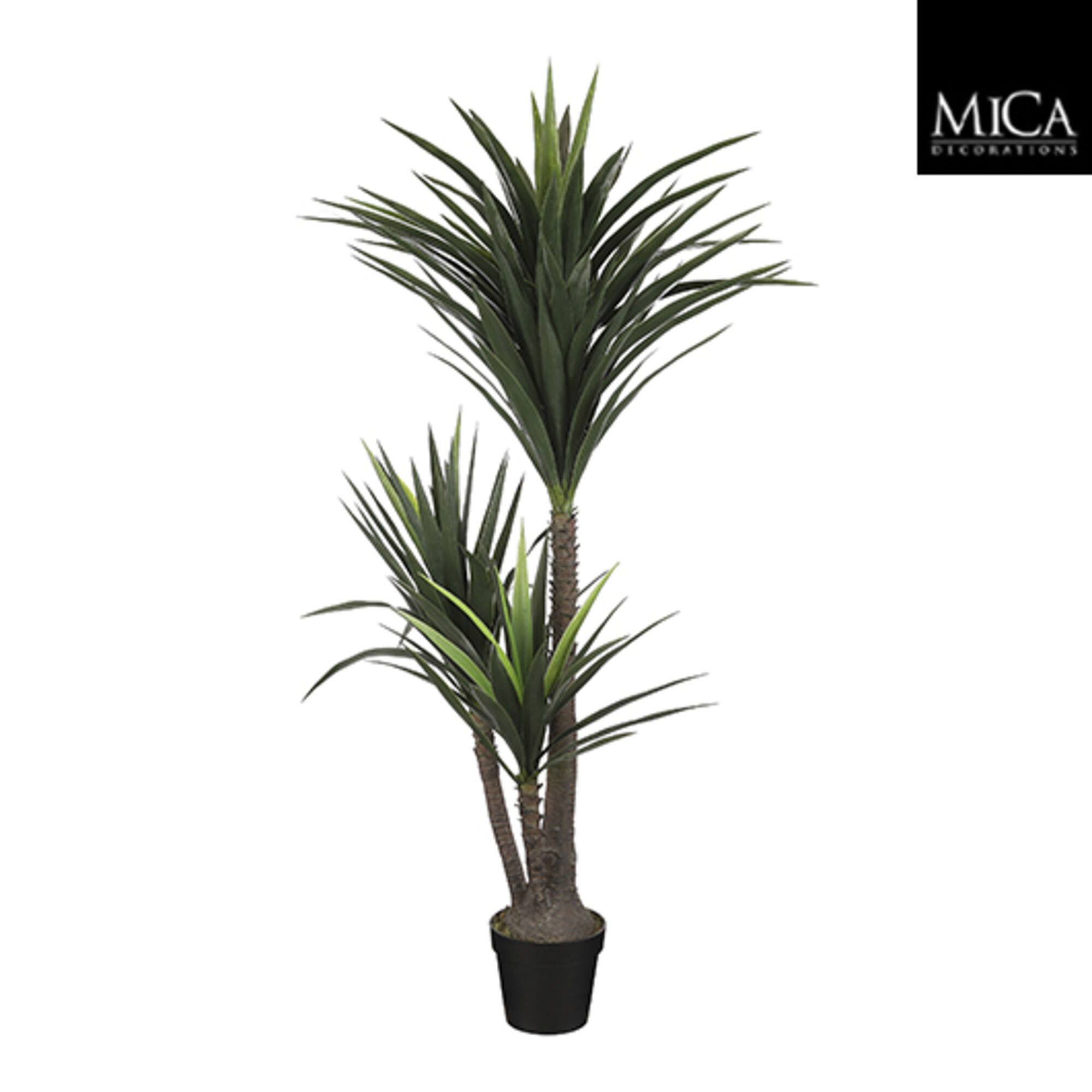 Yucca in plastic pot groen