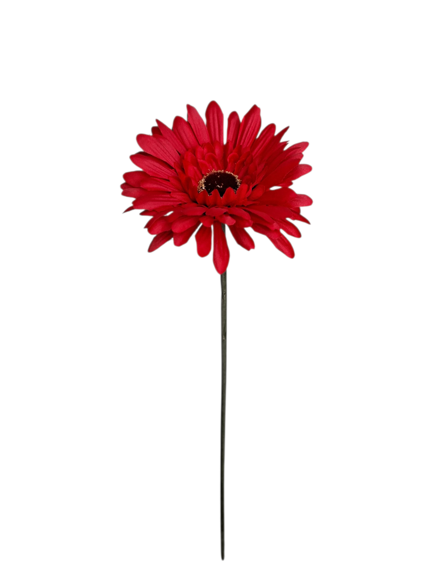 Gerbera - Red
