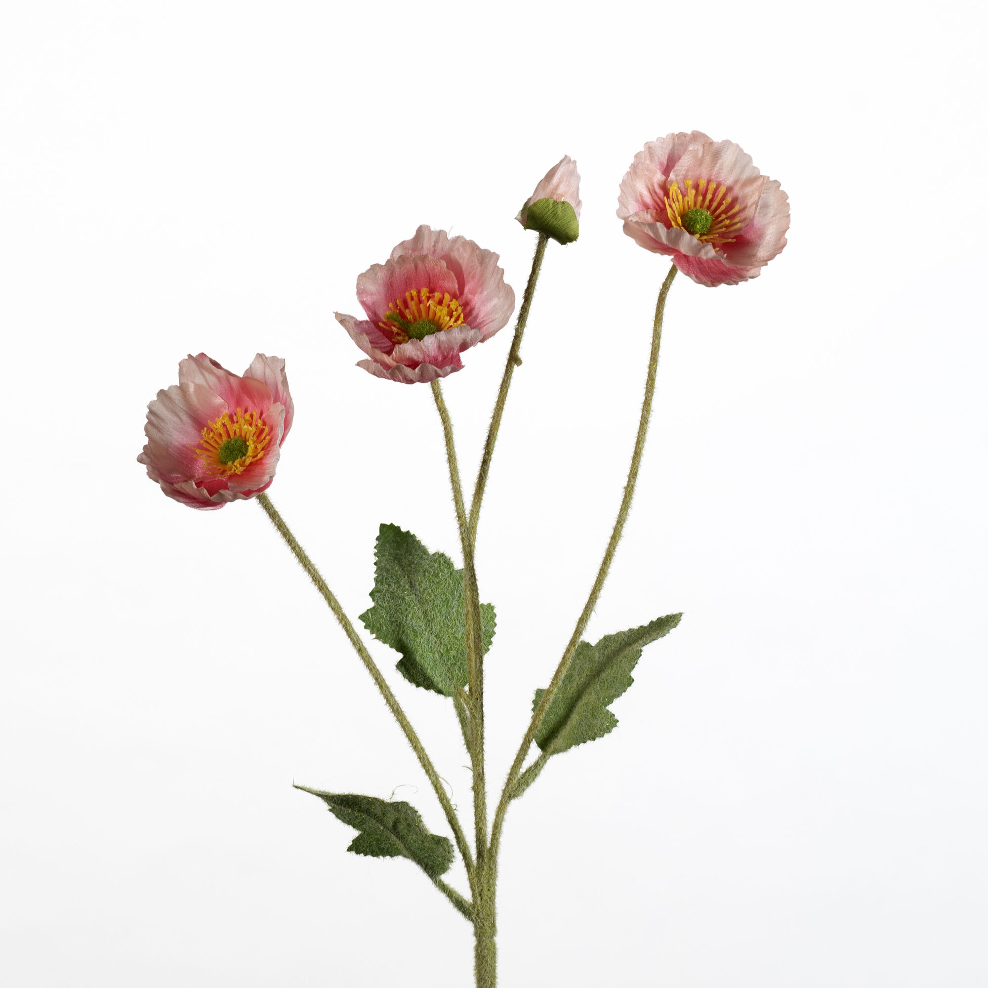 Papaver spray x4 flock - pink