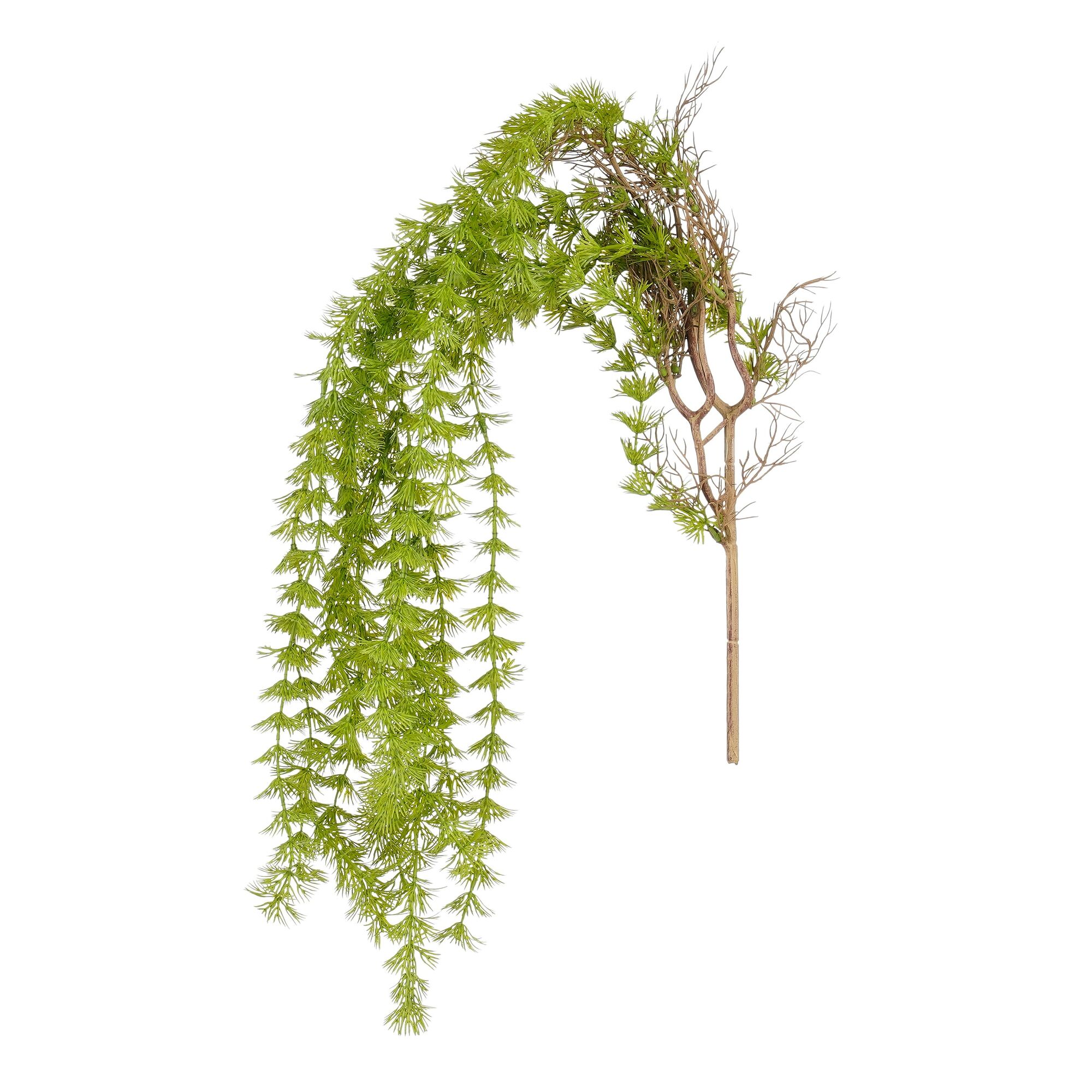 Egeria hangend groen
