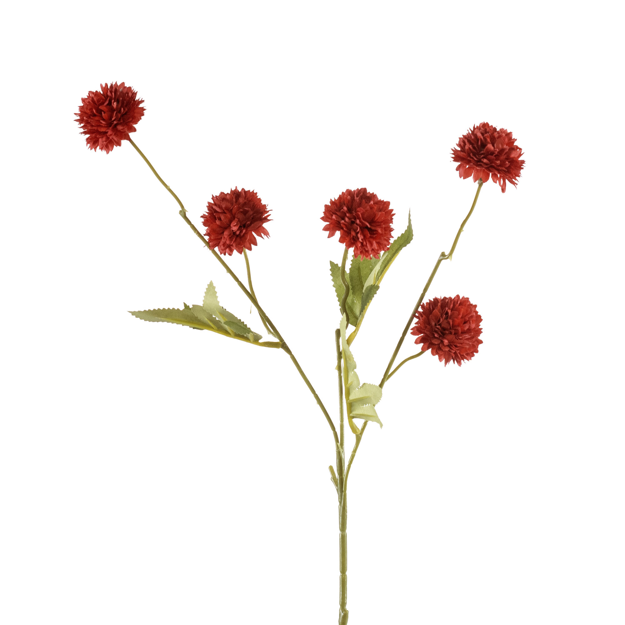 Gompy spray x5 red
