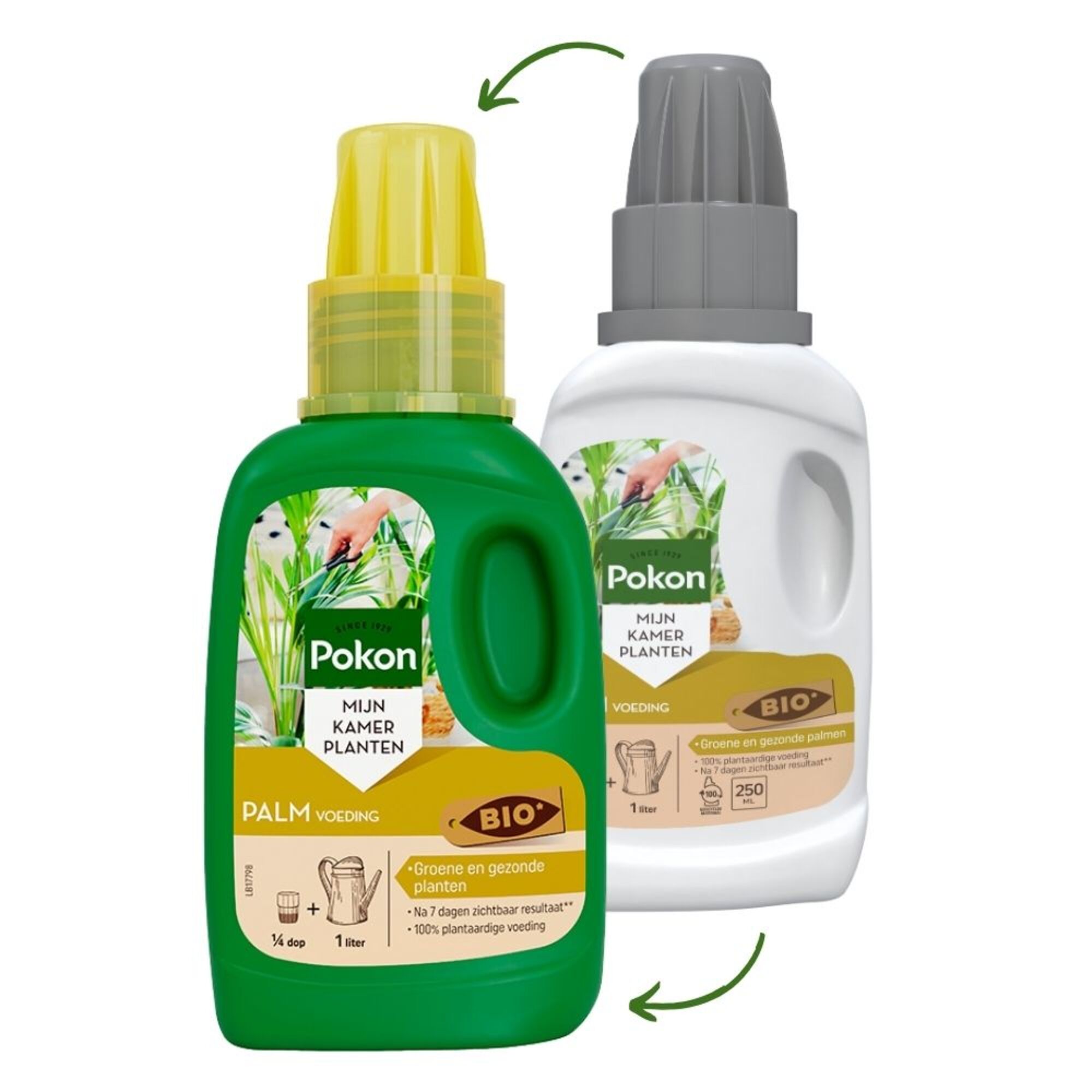 Pokon Bio Orchidee Voeding