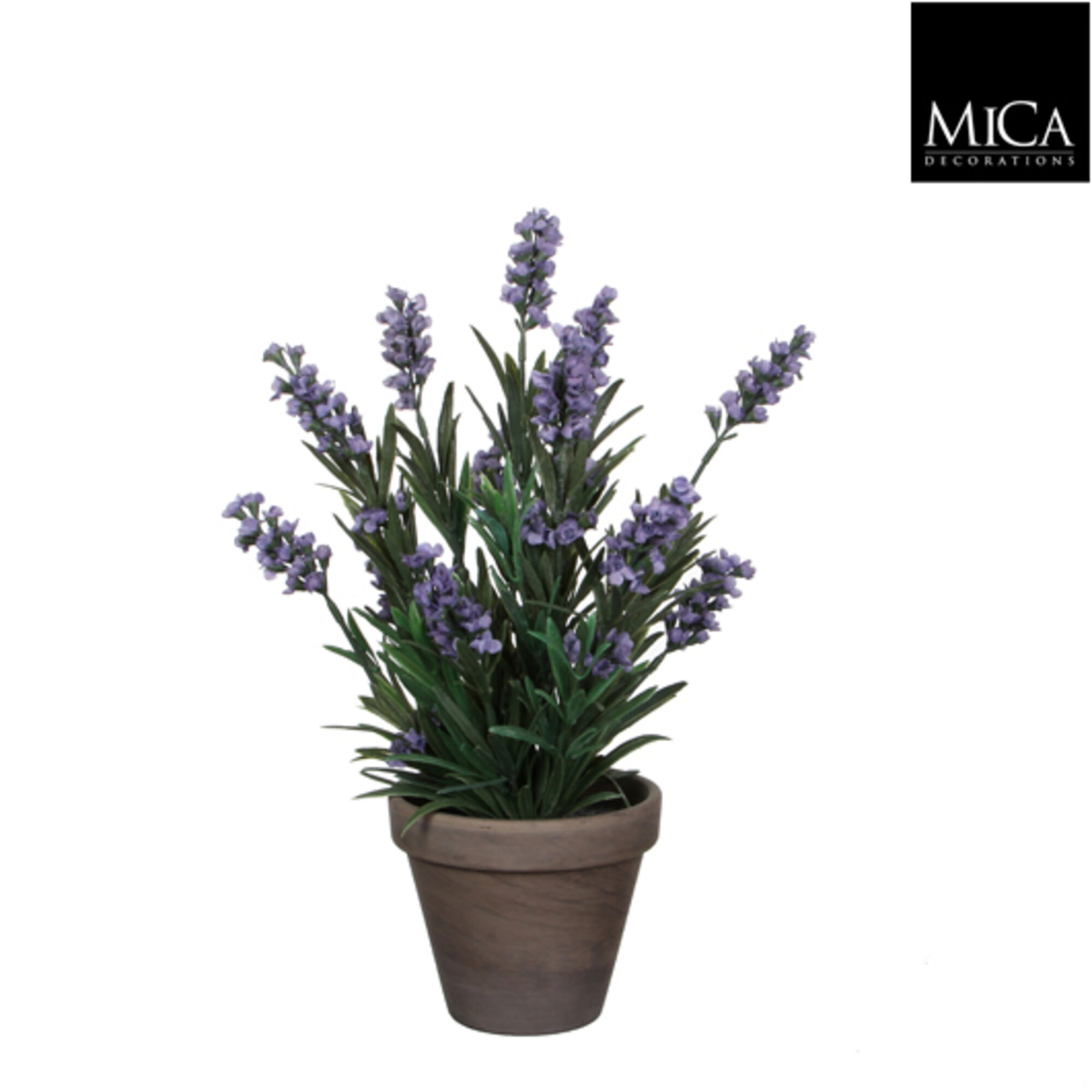 Lavendel blauw in pot Stan grijs d11,5cm