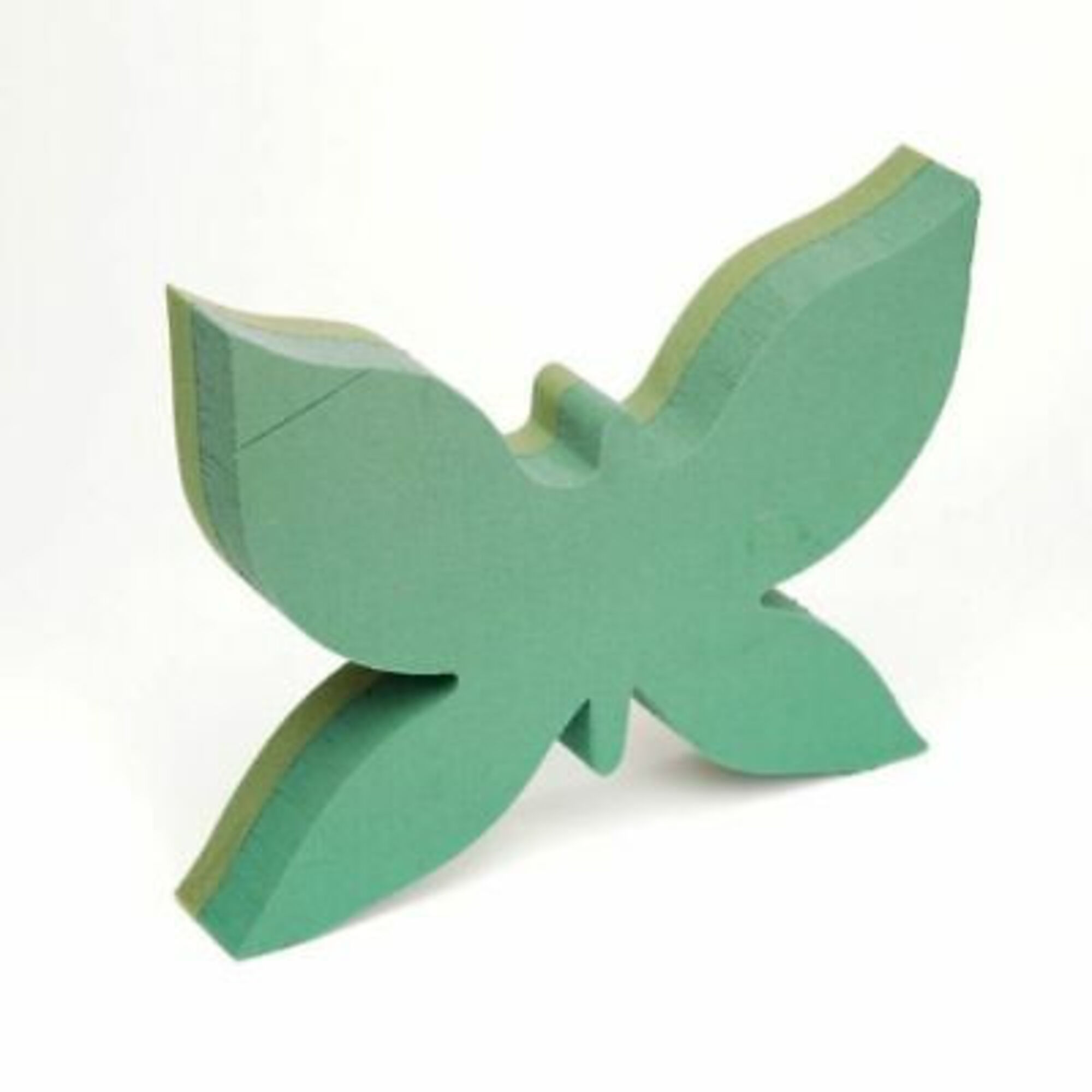 Oasis Foam Frame Mini Butterfly