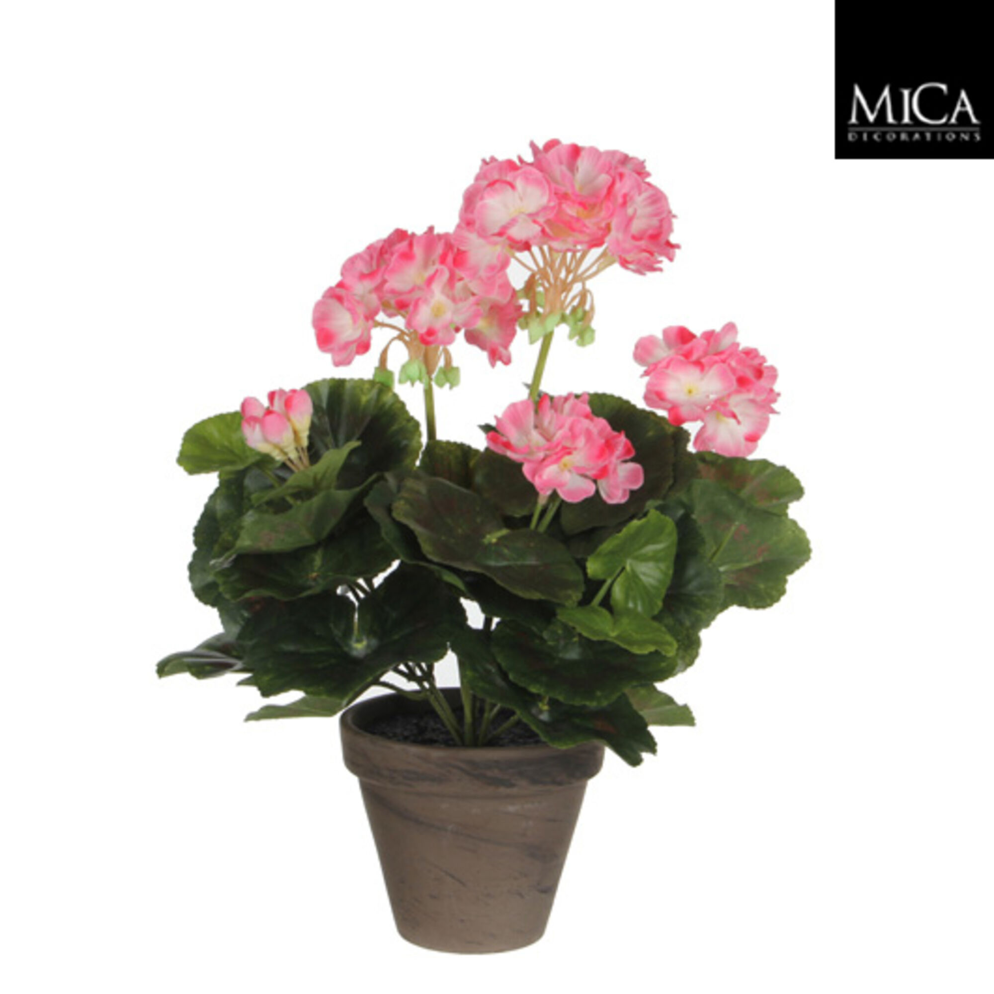 Geranium roze wit in pot Stan grijs d11,5cm