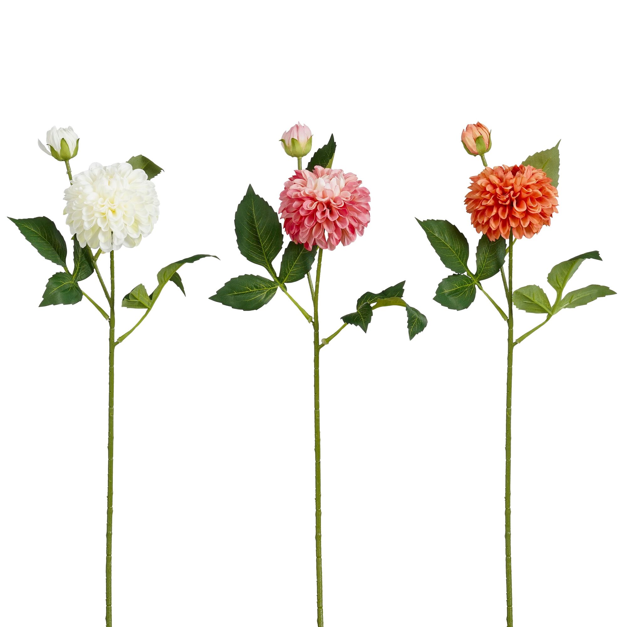 Dahlia oranje wit roze 3 assorti
