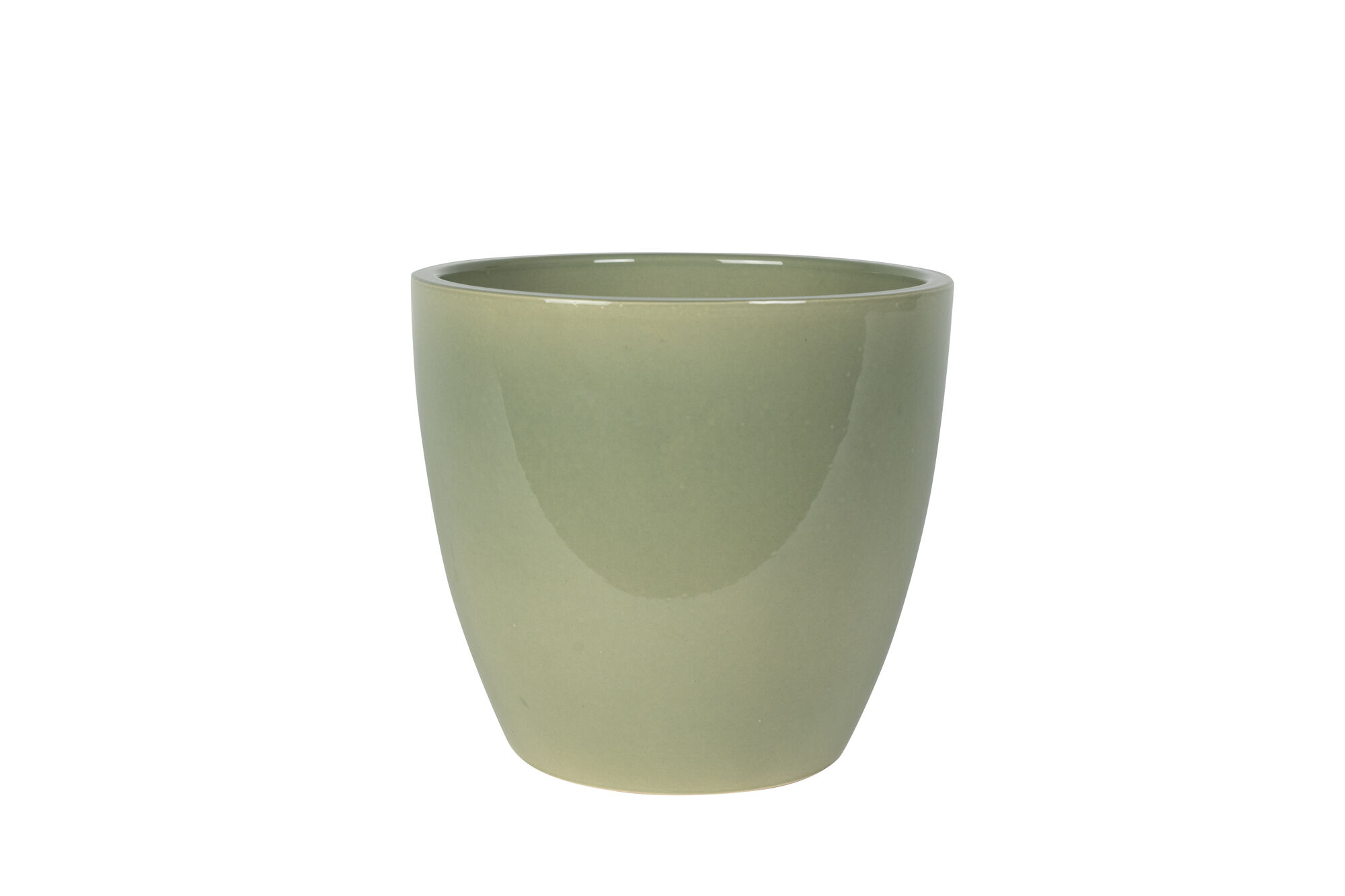 Pot Sven mint
