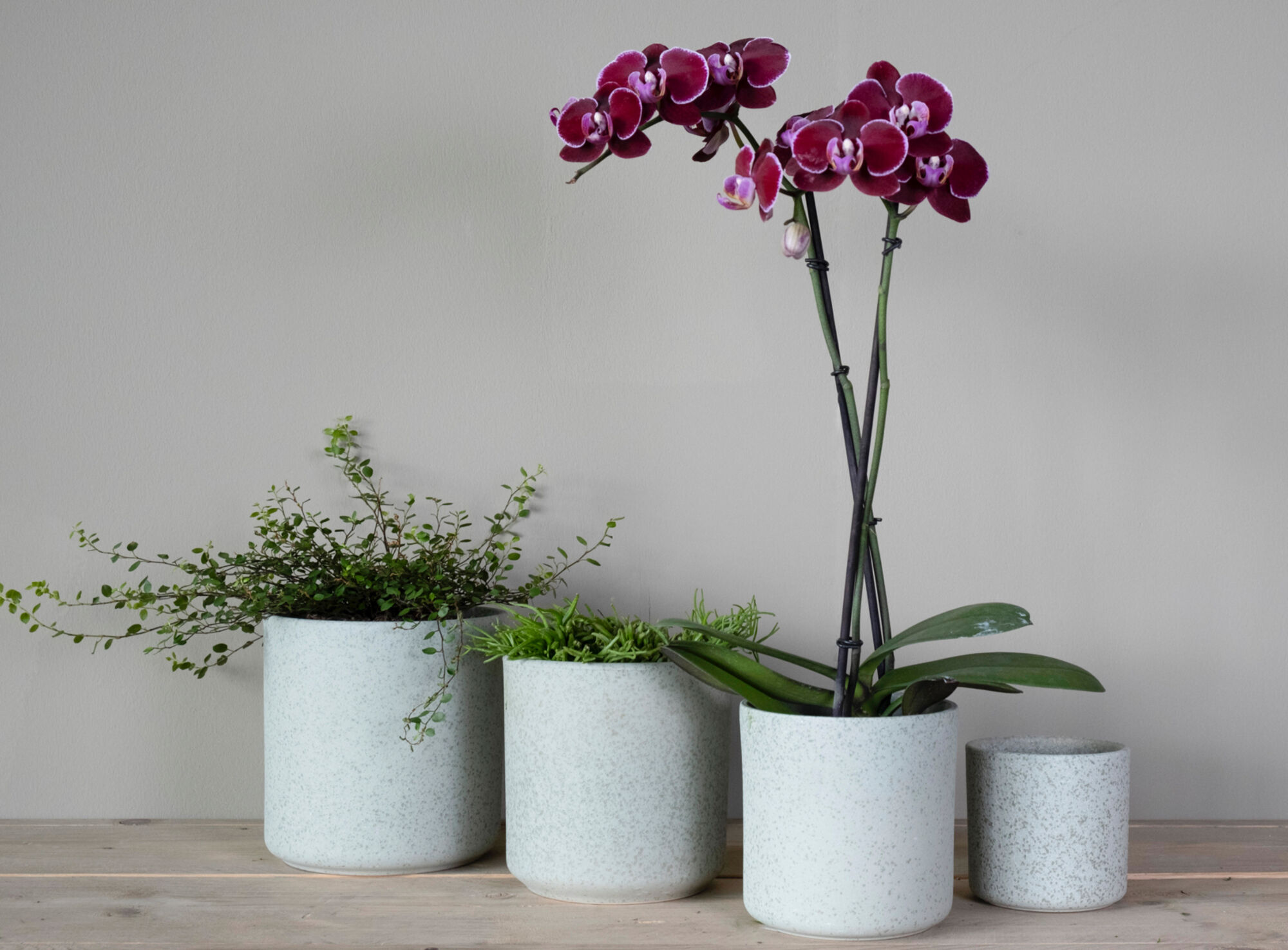 Cylinder Bloempot Keramiek groen