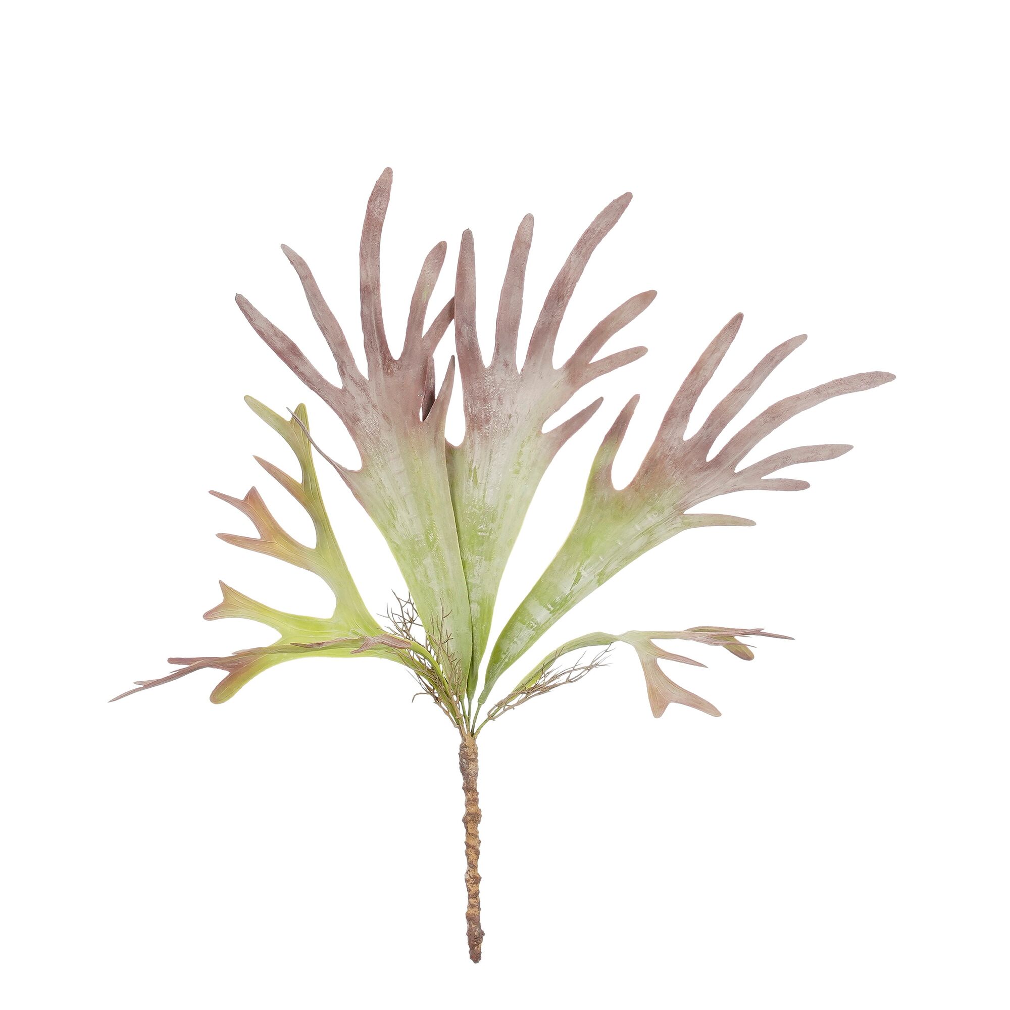 Citronella hangend rood