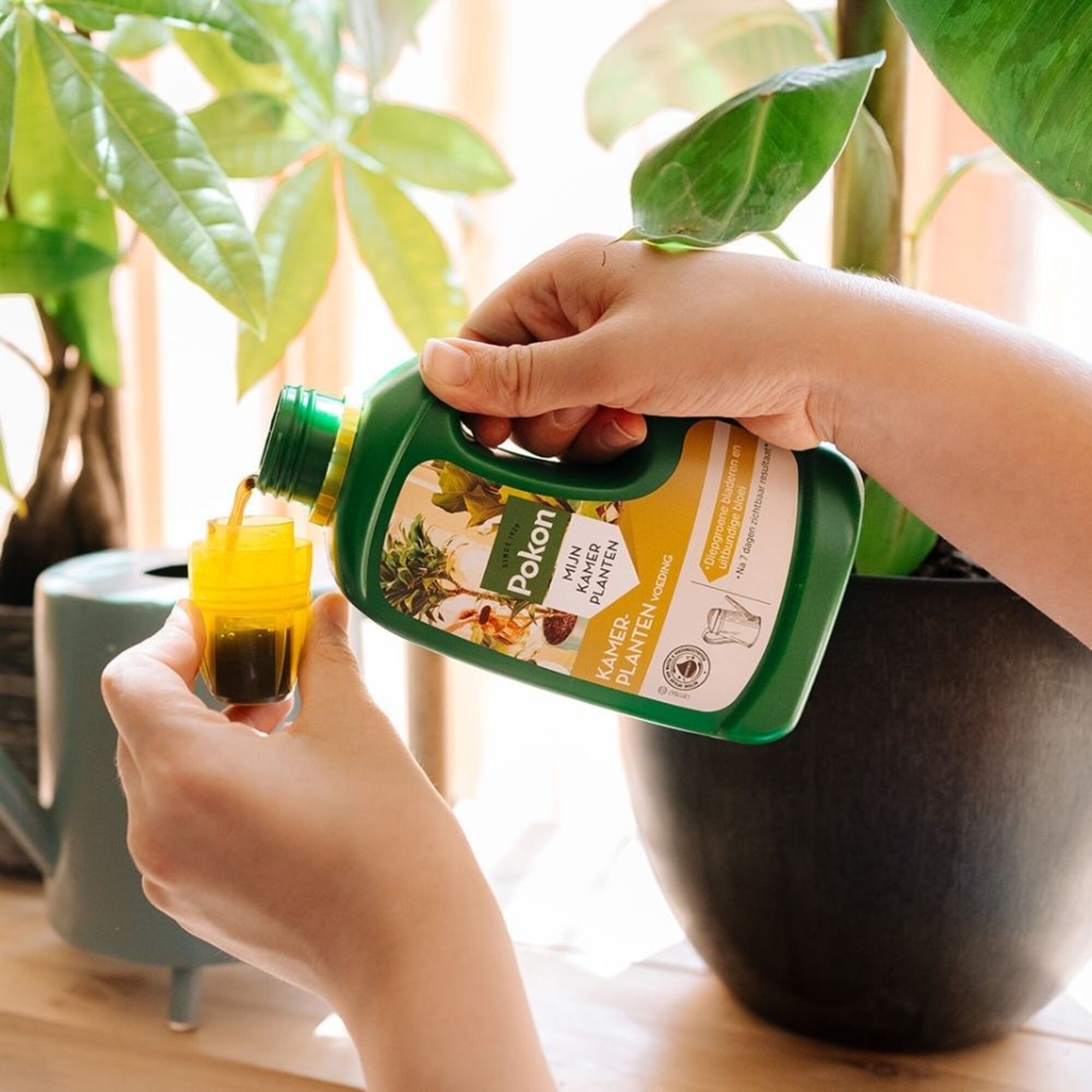 Pokon Bio Kamerplanten Voeding