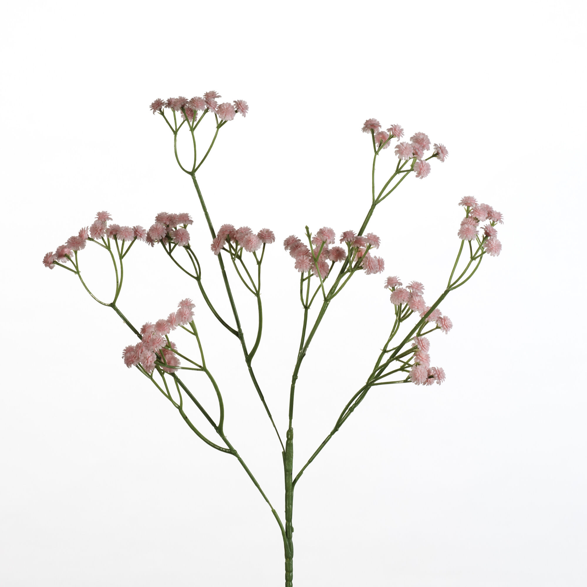 Gypsophila spray - L.pink