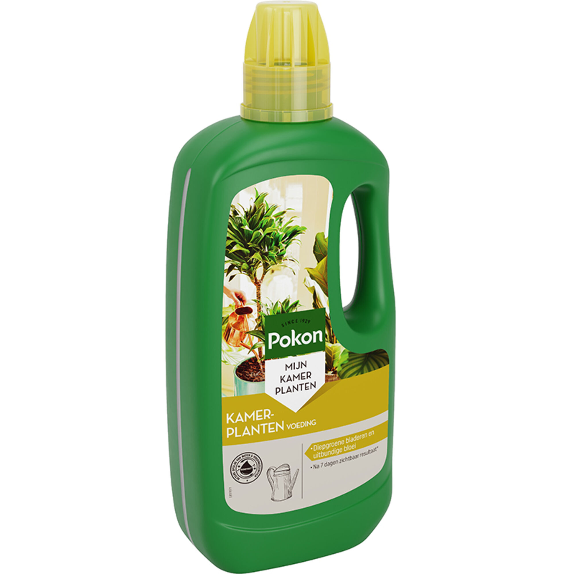 Pokon Bio Kamerplanten Voeding