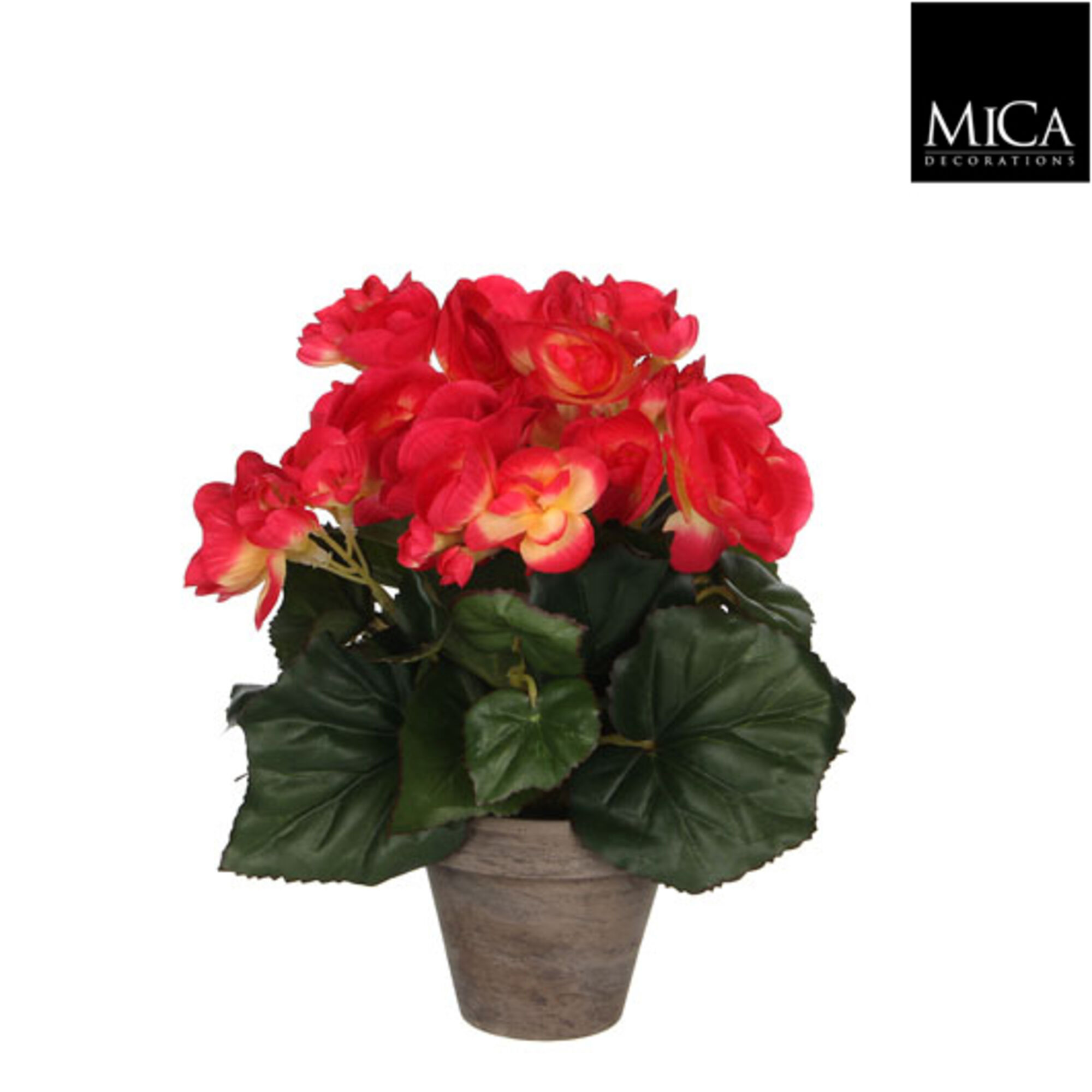 Begonia d.roze in pot Stan grijs d9cm