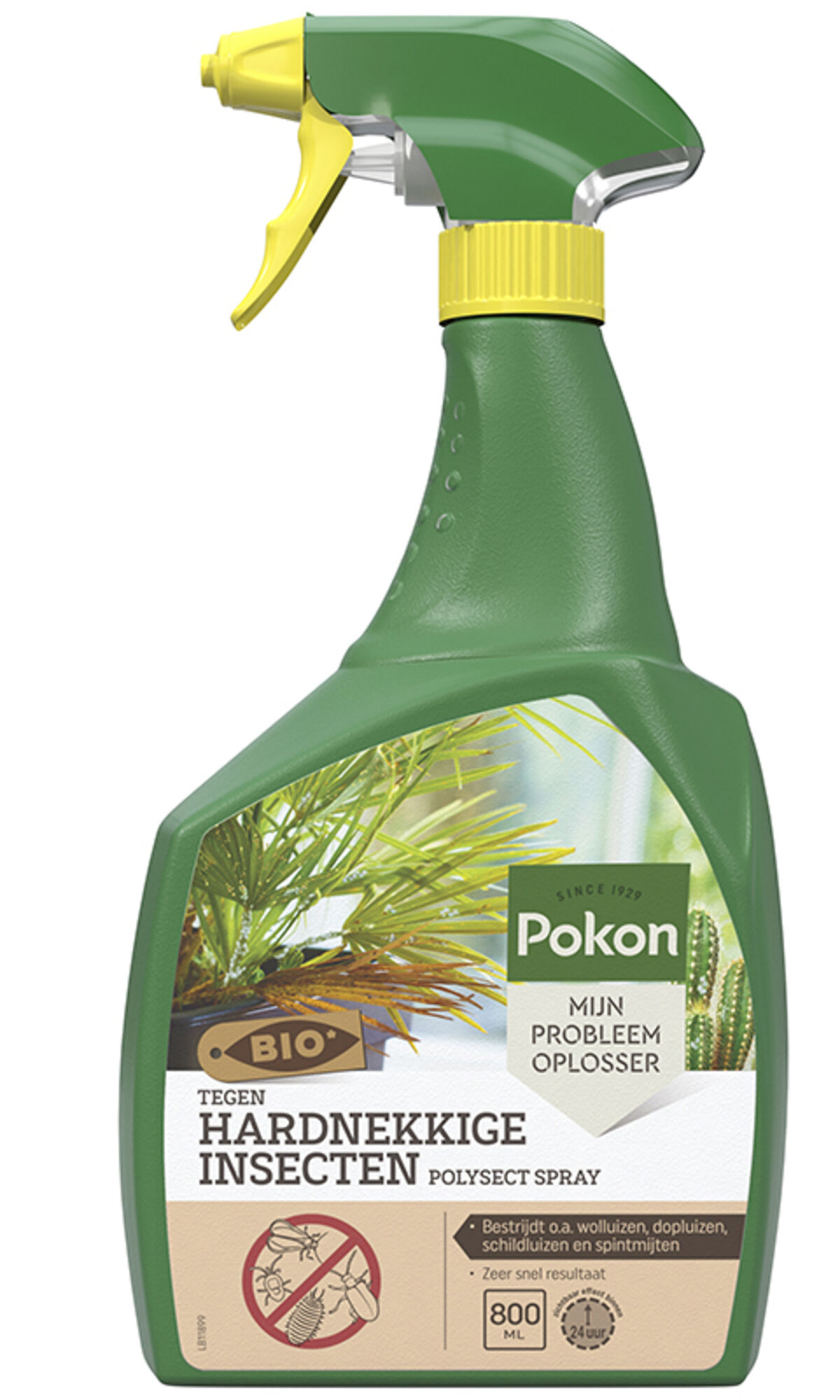 Pokon Bio tegen Hardnekkige Insecten Spray