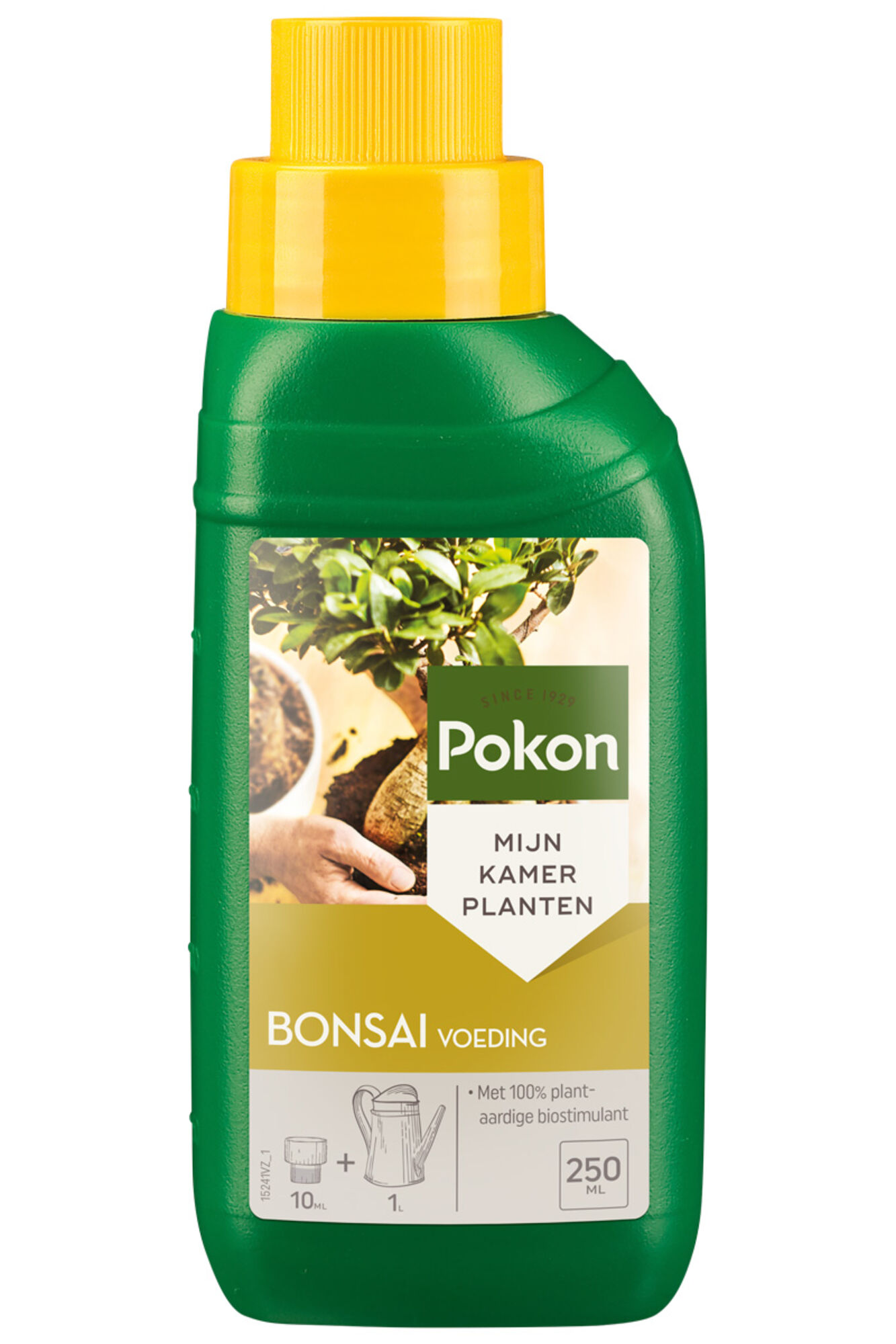 Pokon Bonsai