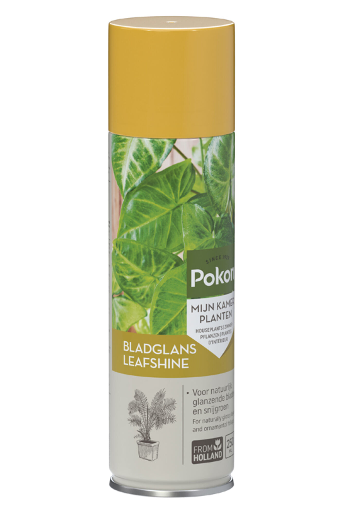 Pokon Bladglans