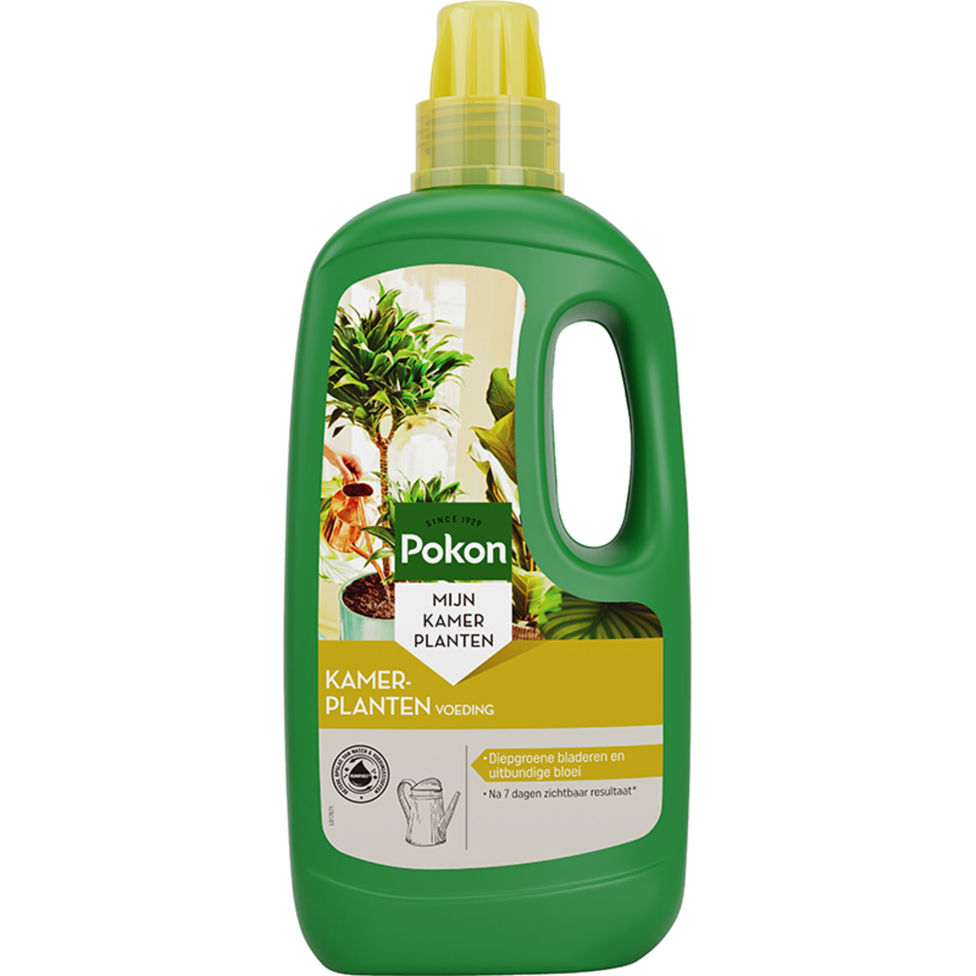 Pokon Bio Kamerplanten Voeding