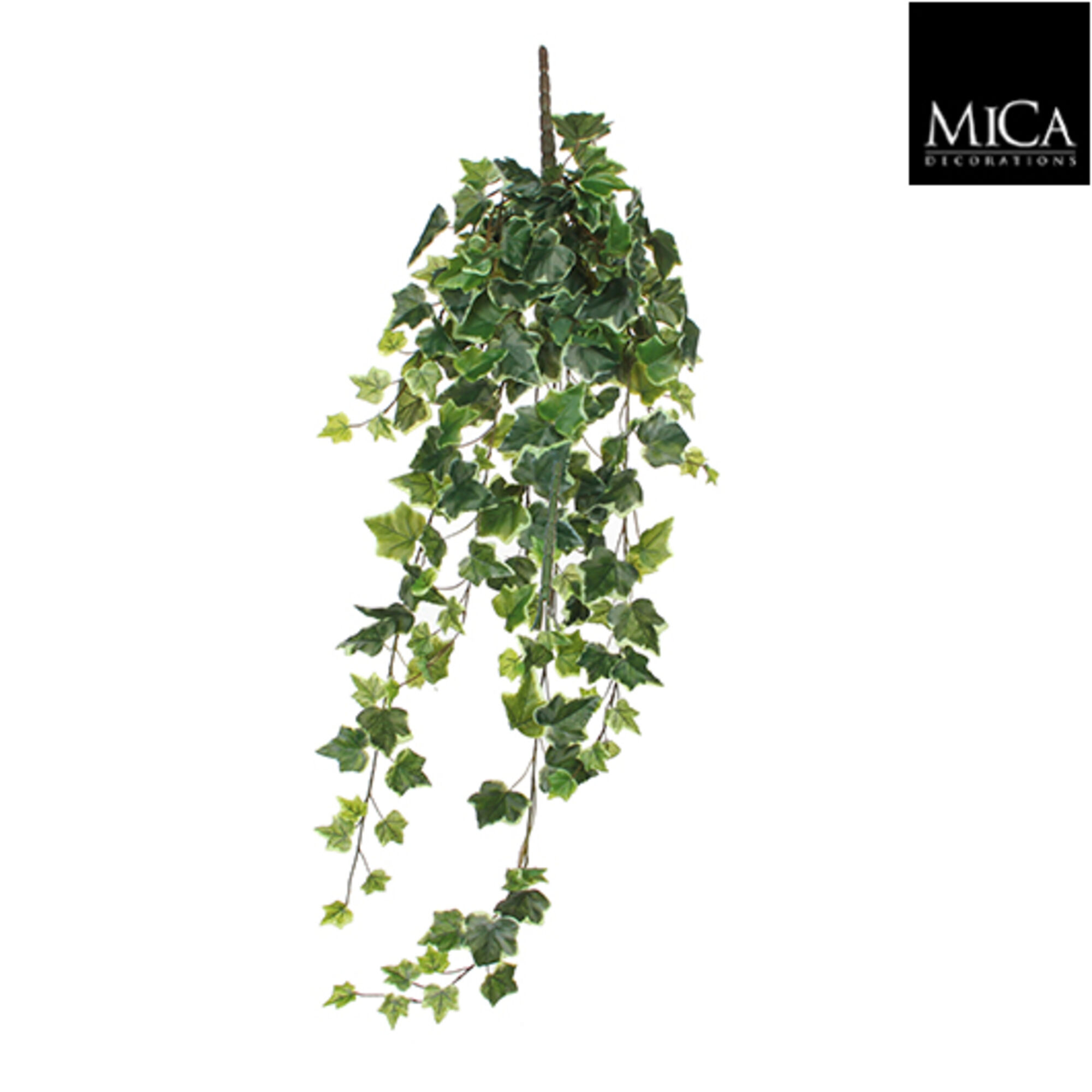 Hedera hangend groen bont