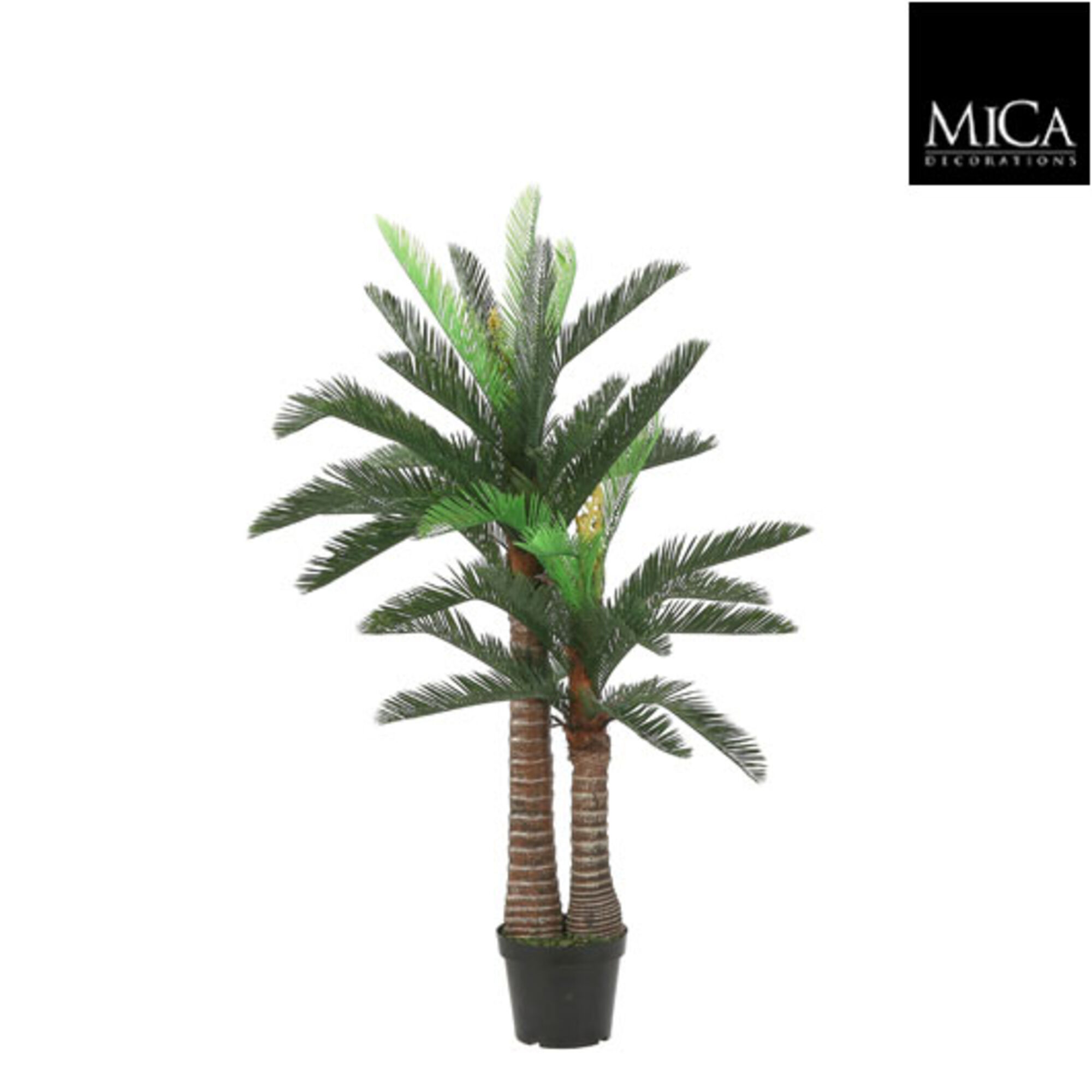 Cycas palm in plastic pot groen