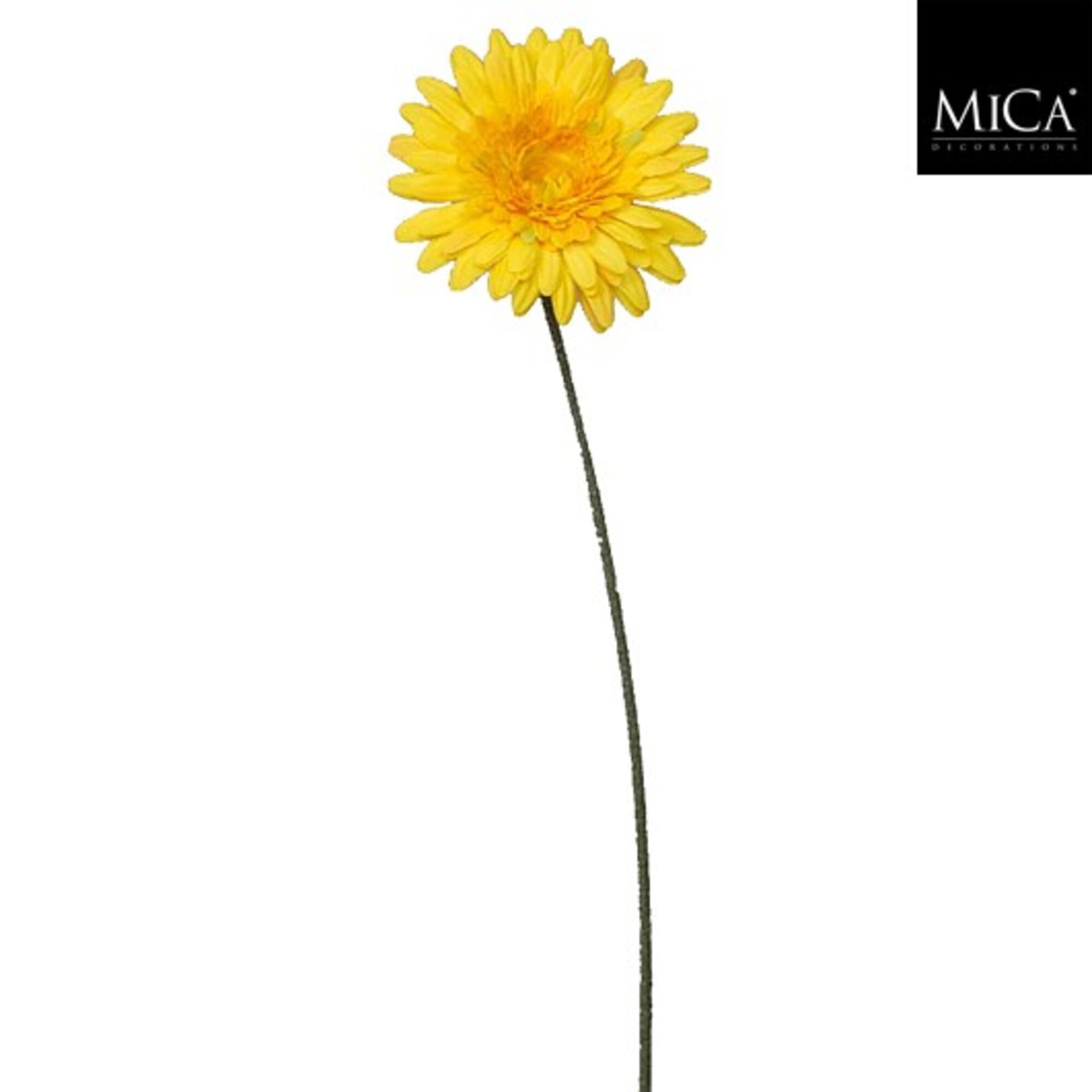 Gerbera geel