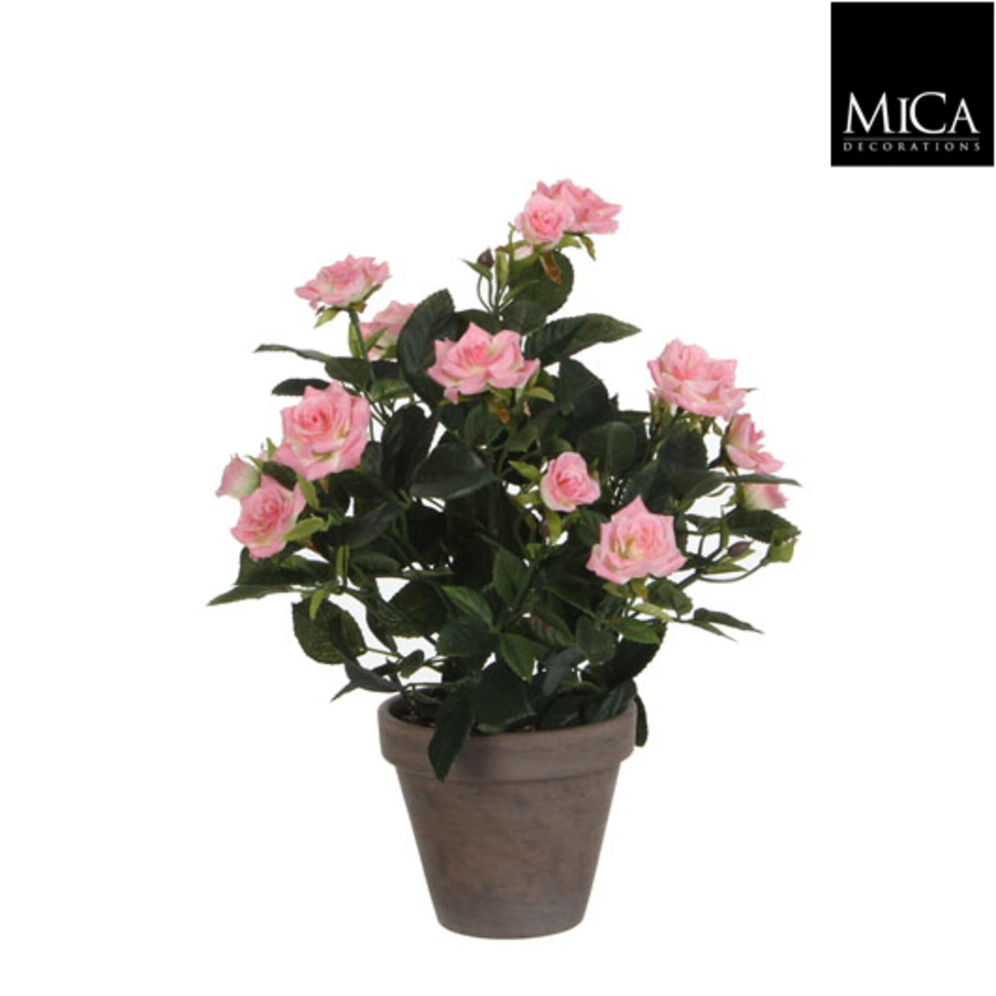 Rozenstruik roze in pot Stan grijs d11,5cm