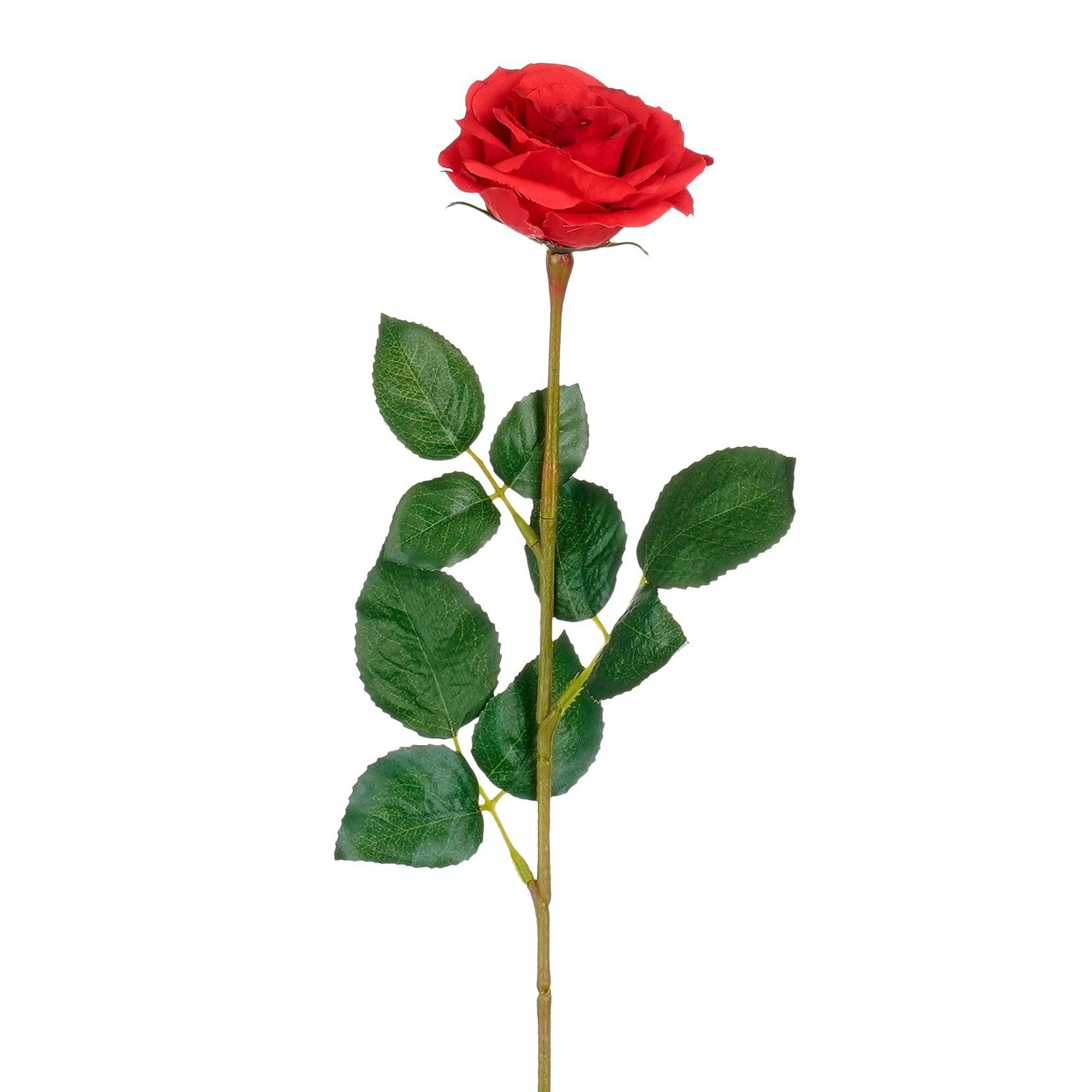 Roos rood