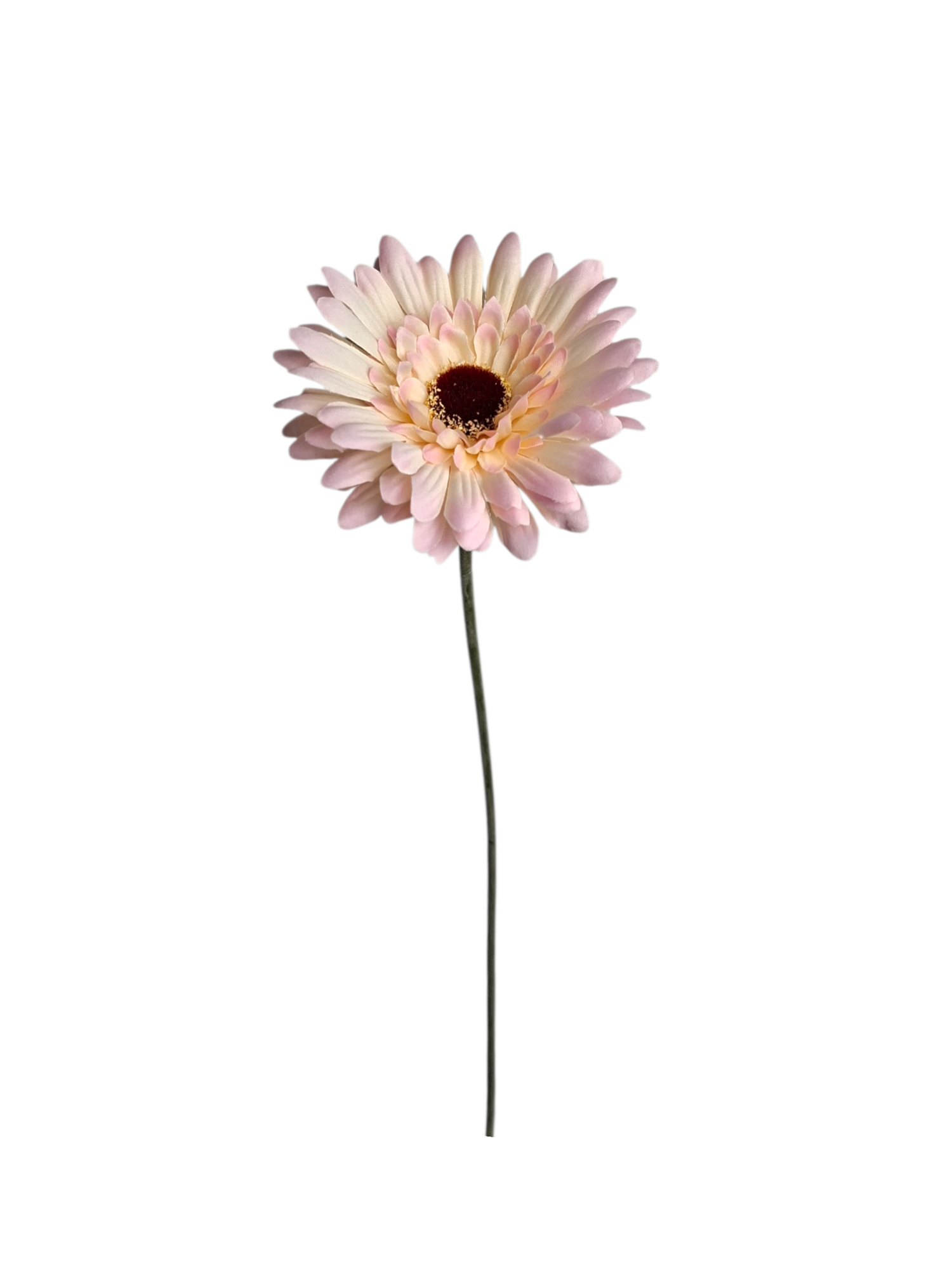 Gerbera - L.Pink