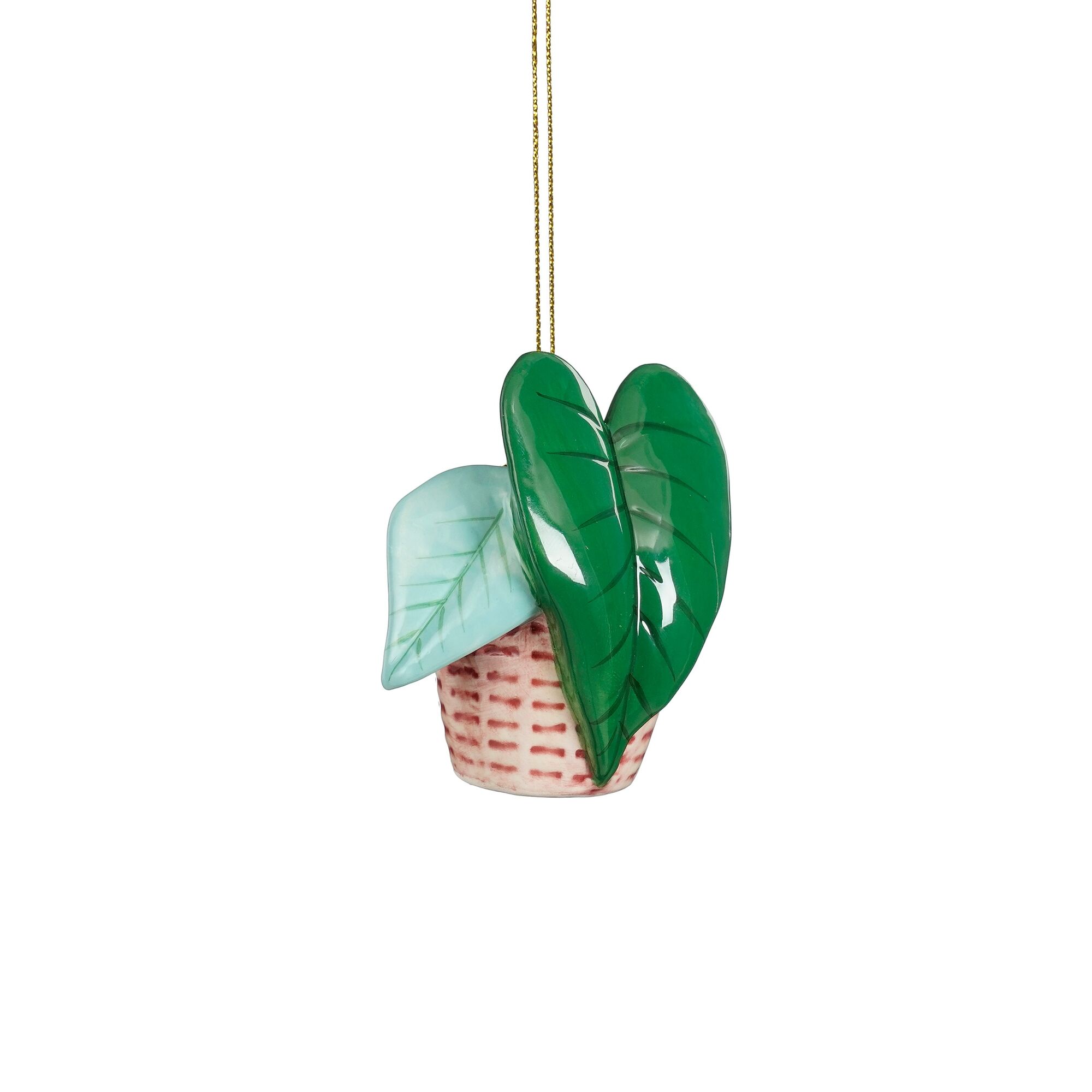 Ornament plant groen