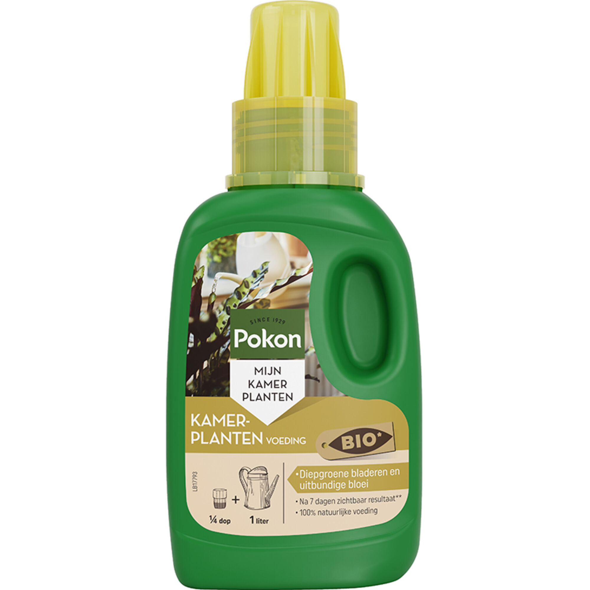 Pokon Bio Kamerplanten Voeding