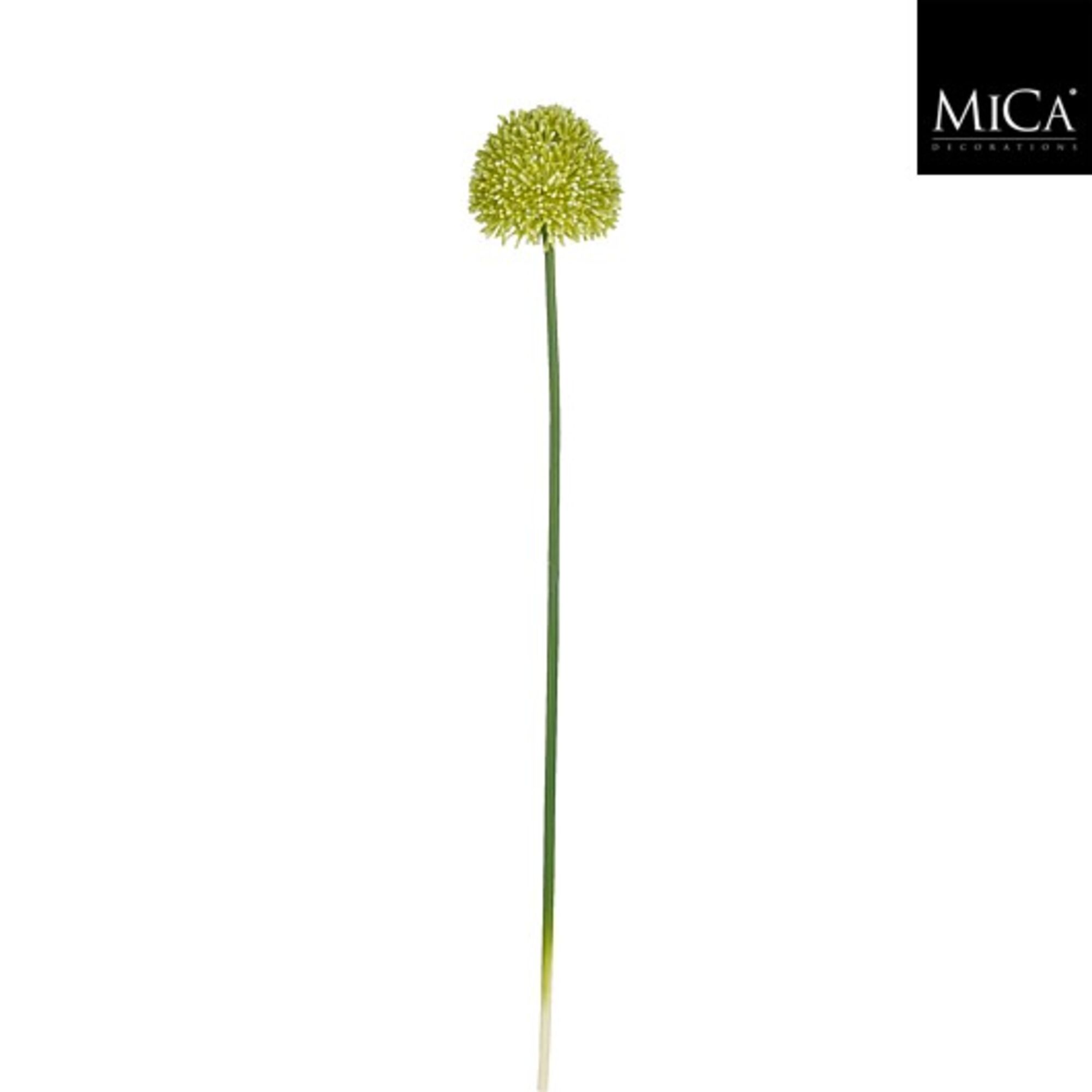 Allium groen