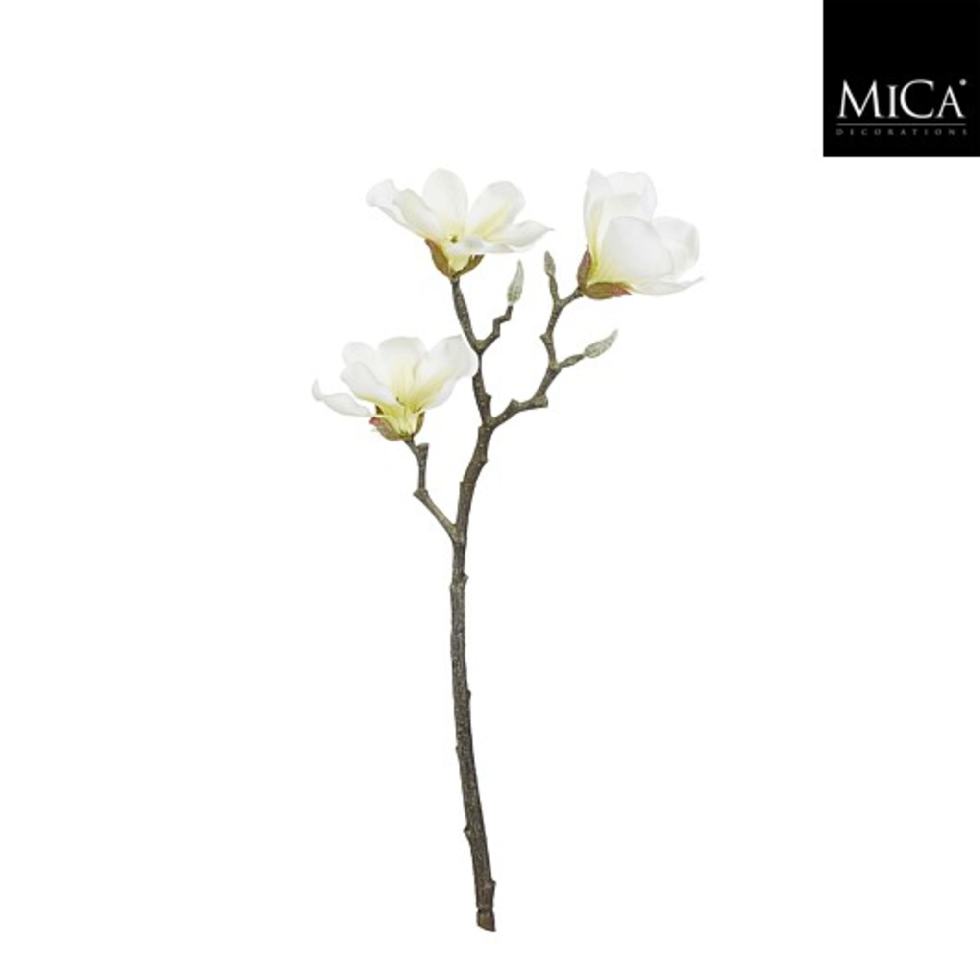 Magnolia tak creme